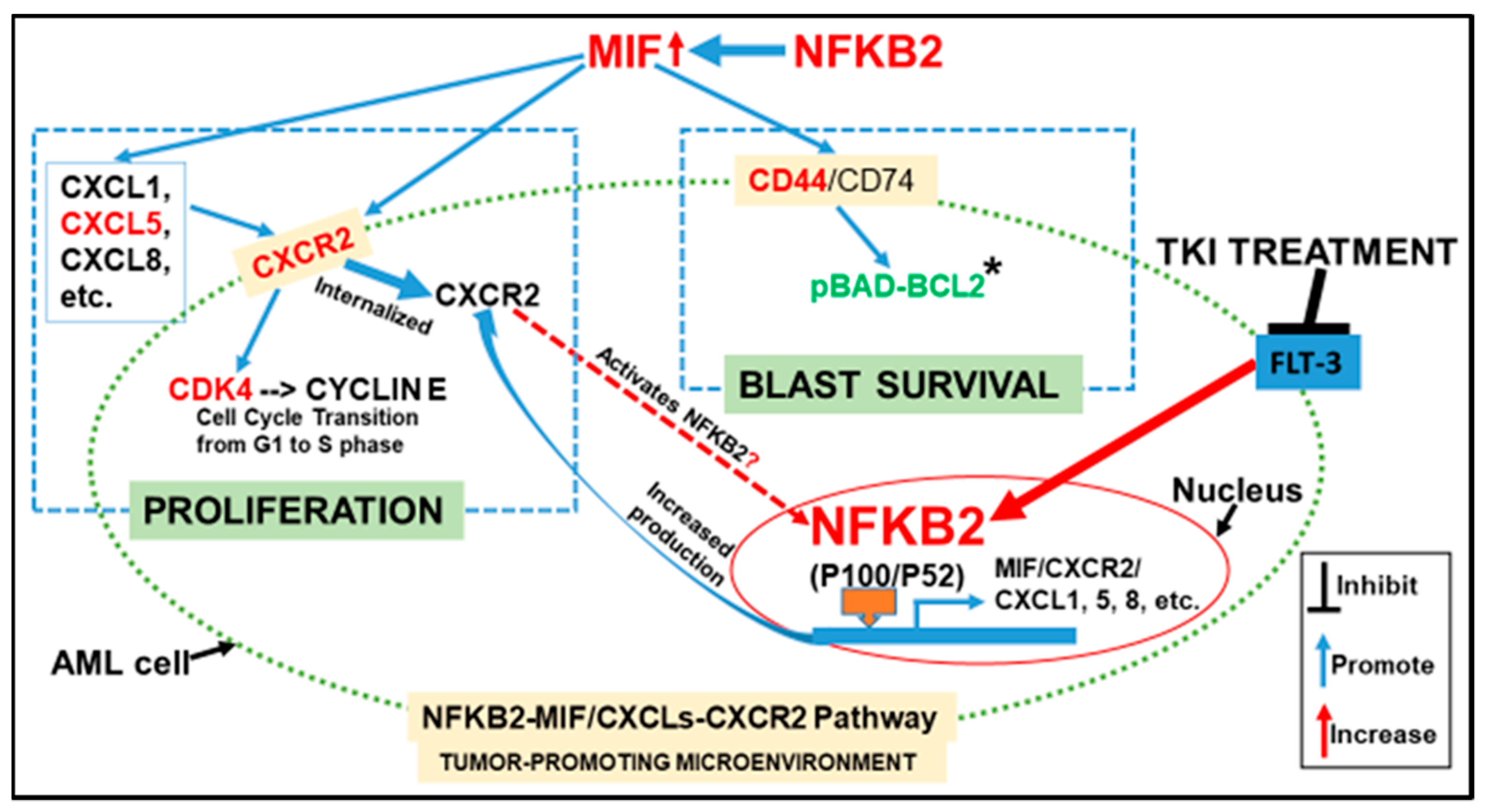 Biomedicines 10 01038 g007