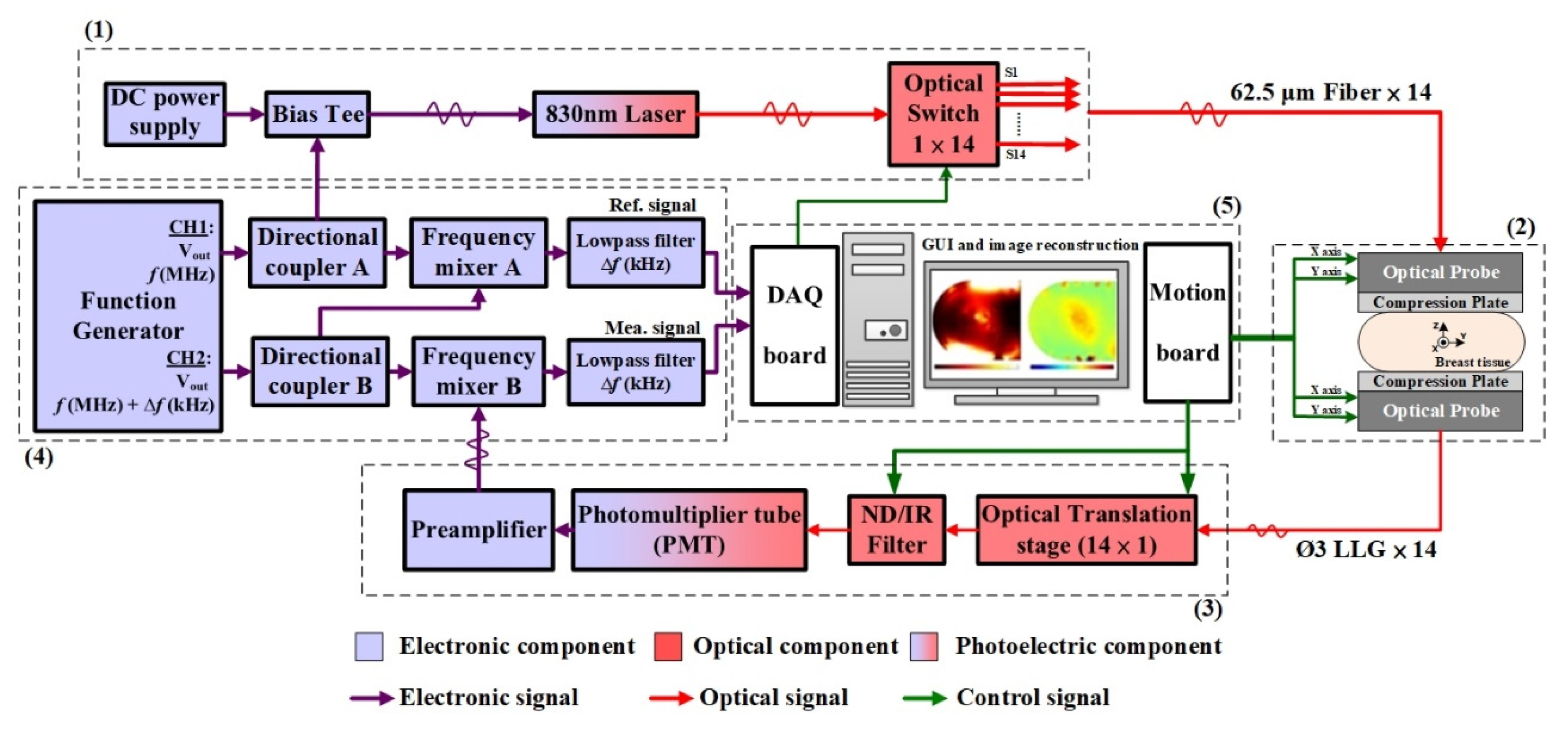 Biomedicines 10 01040 g001