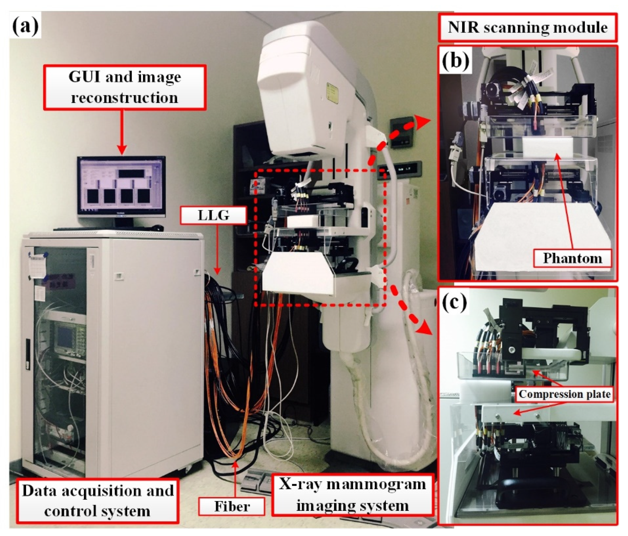 Biomedicines 10 01040 g002