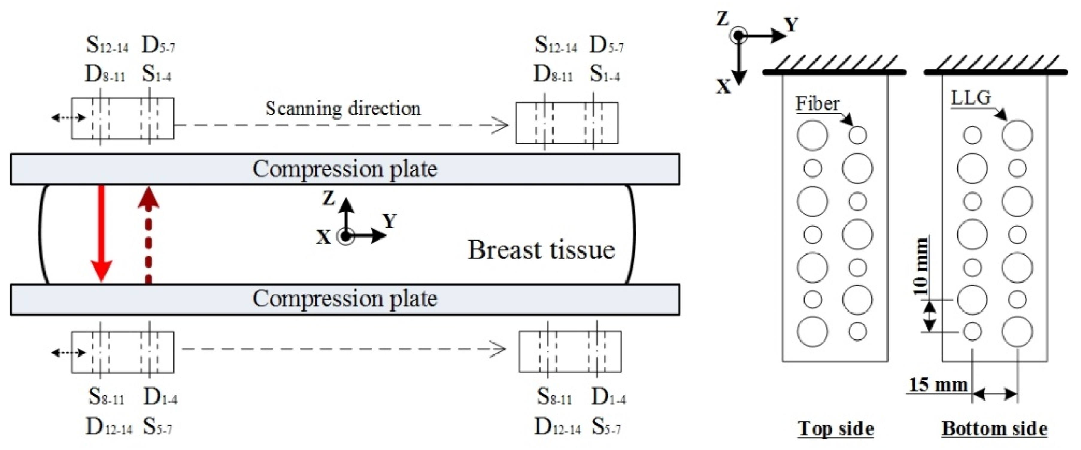 Biomedicines 10 01040 g003