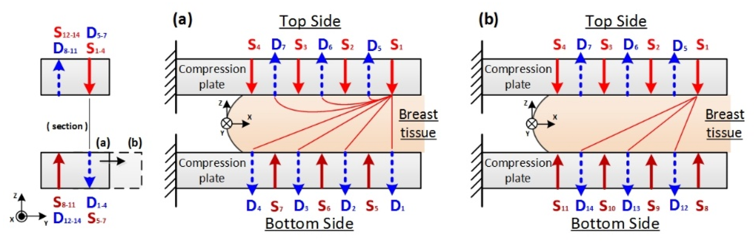 Biomedicines 10 01040 g004