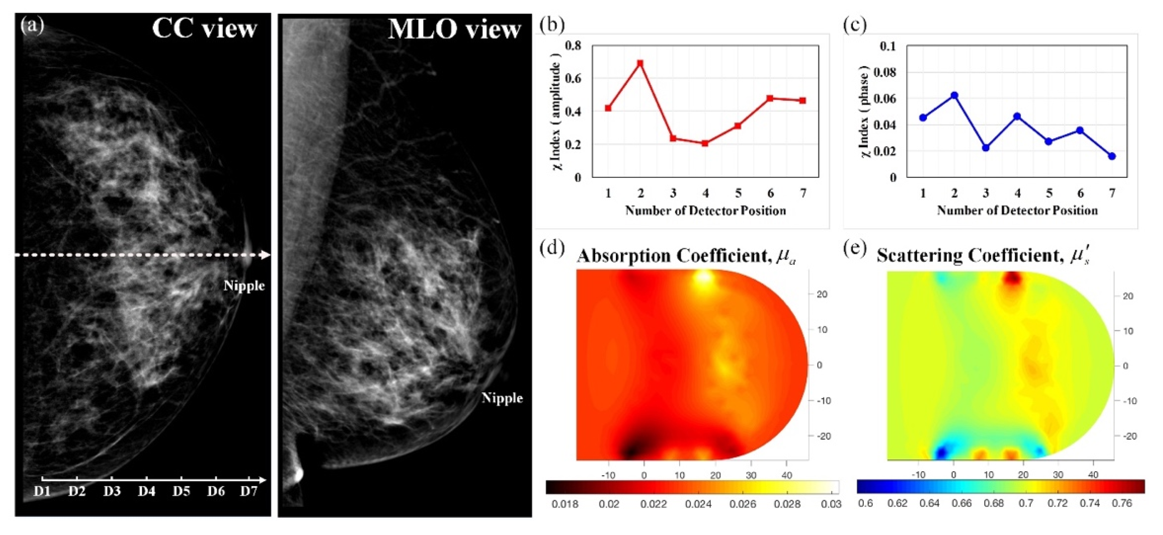 Biomedicines 10 01040 g008