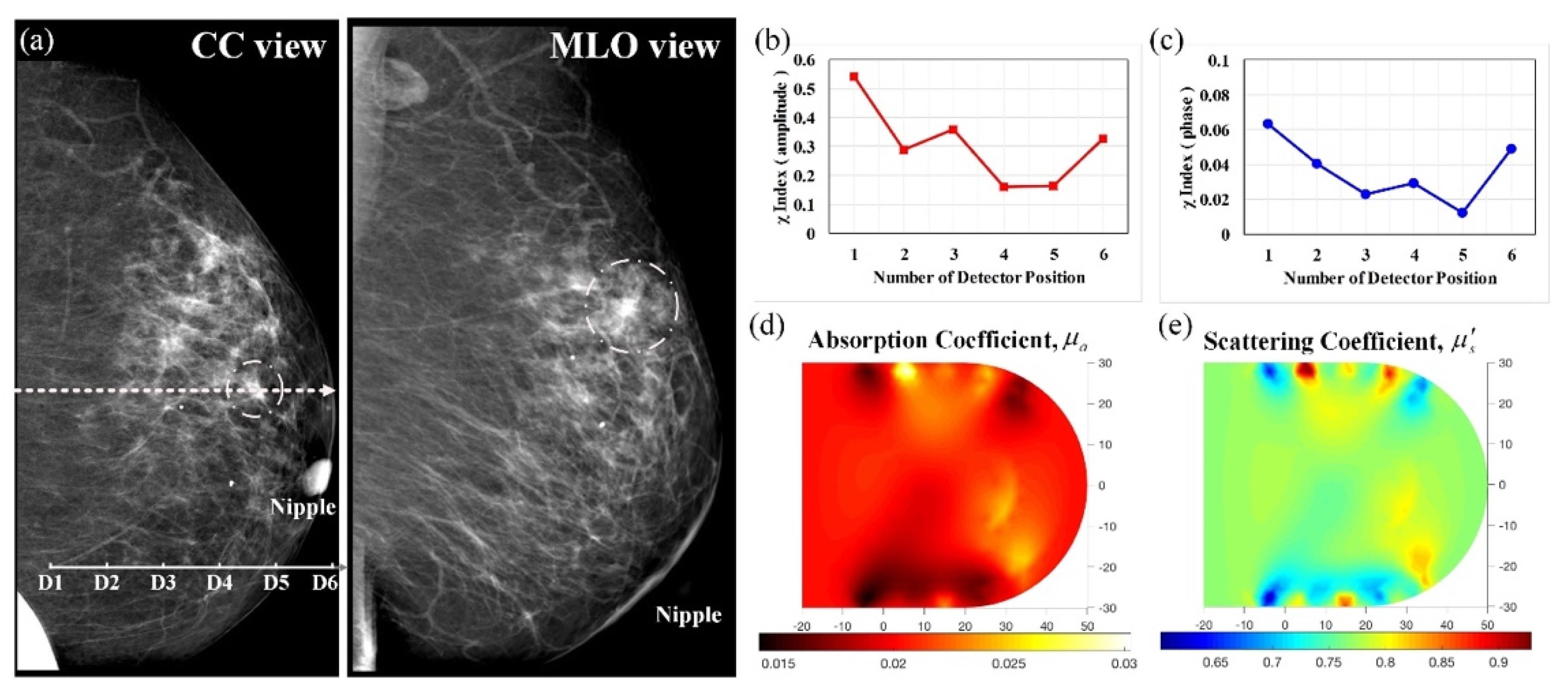 Biomedicines 10 01040 g010