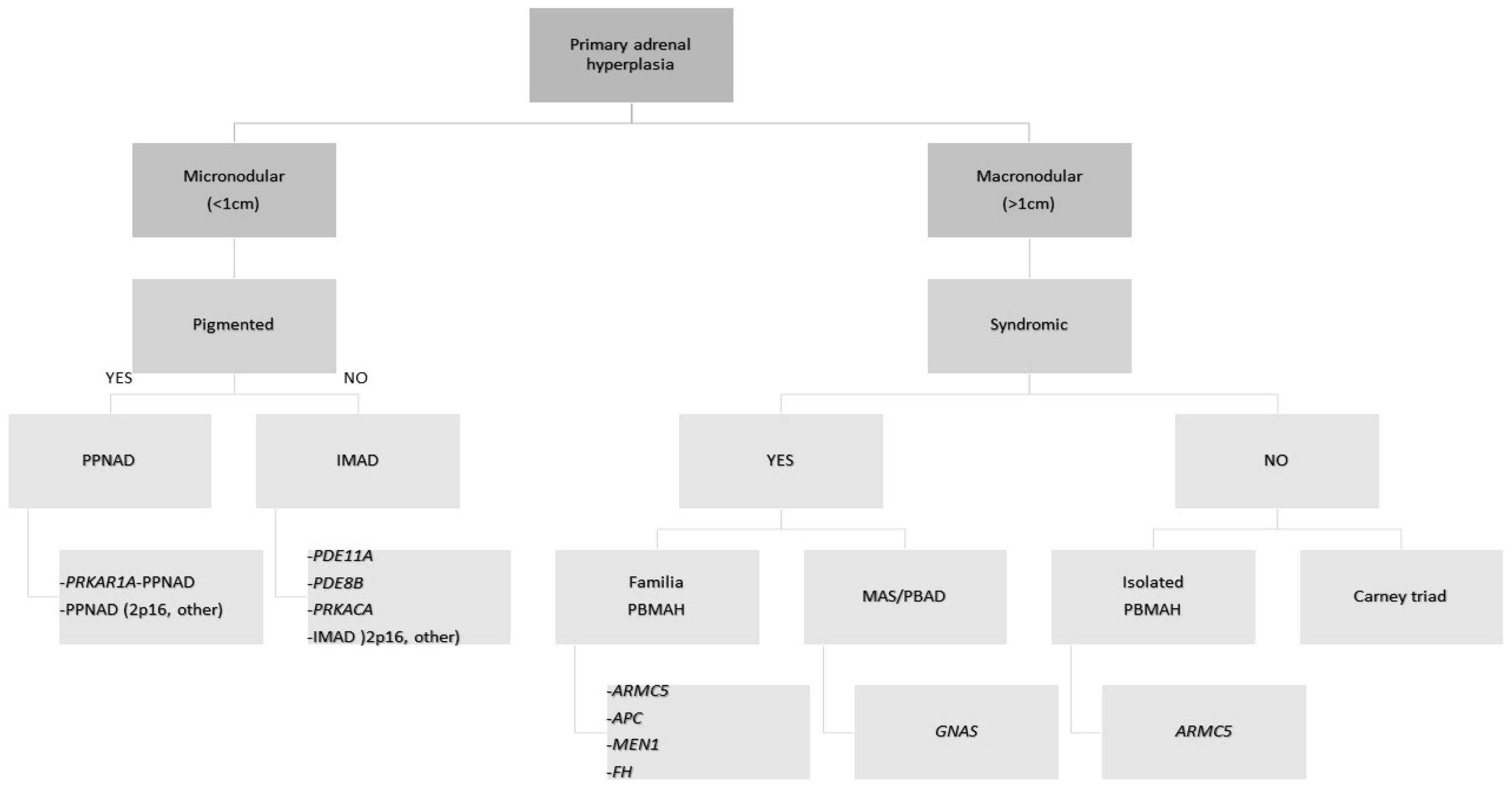 Biomedicines 10 01041 g001 Biomedicines 10 01041 g001