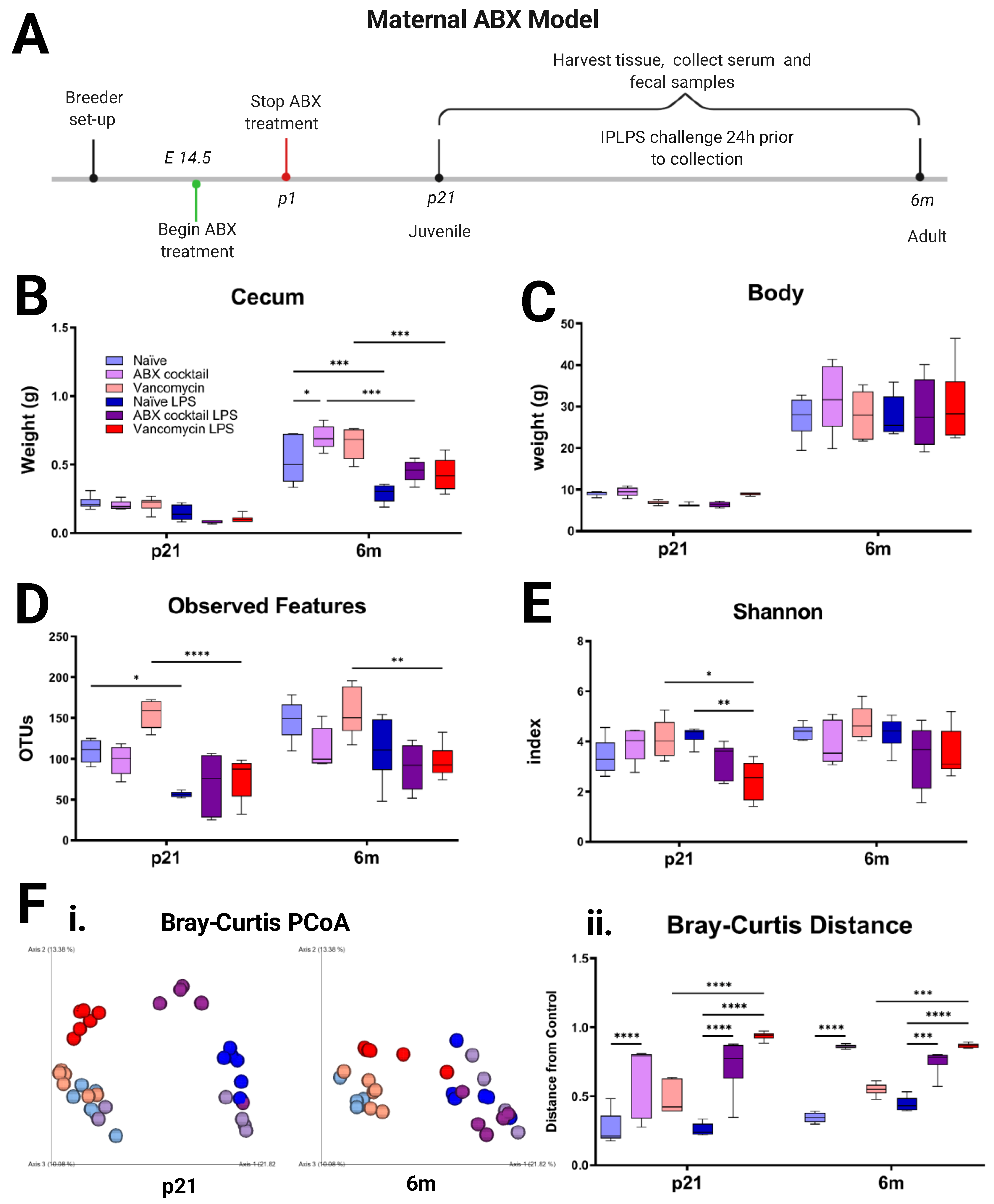 Biomedicines 10 01042 g001