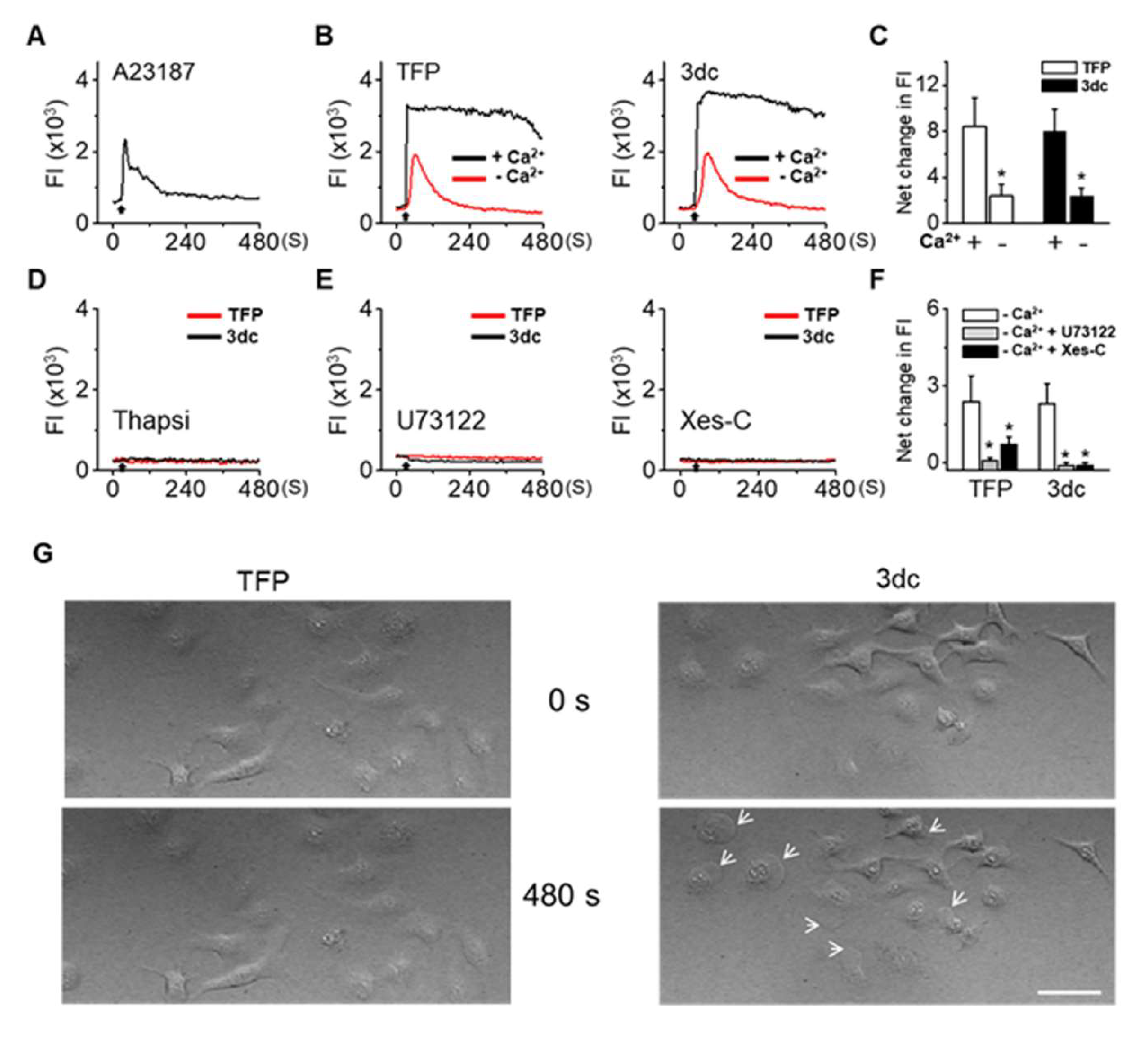 Biomedicines 10 01046 g004