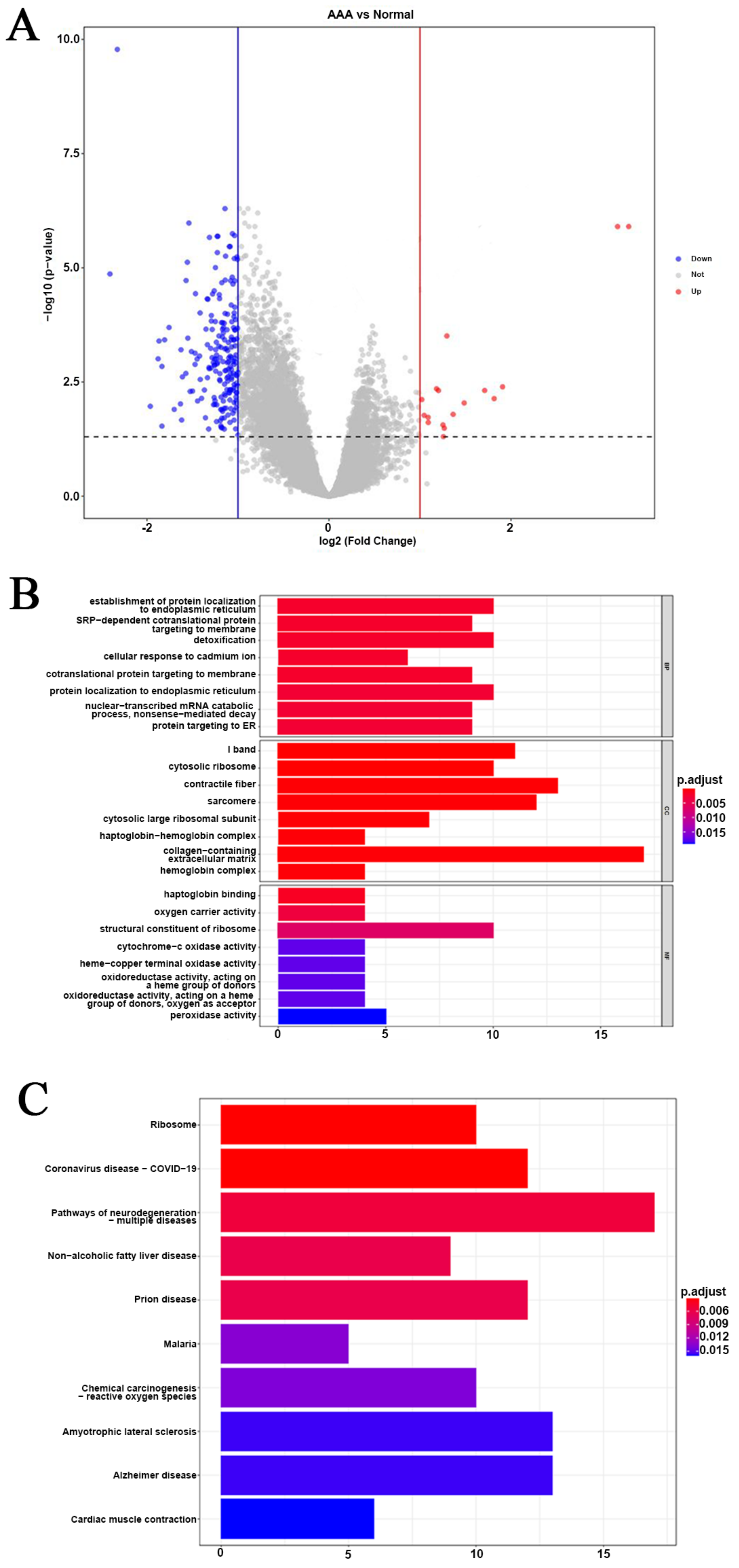 Biomedicines 10 01052 g002 Biomedicines 10 01052 g002