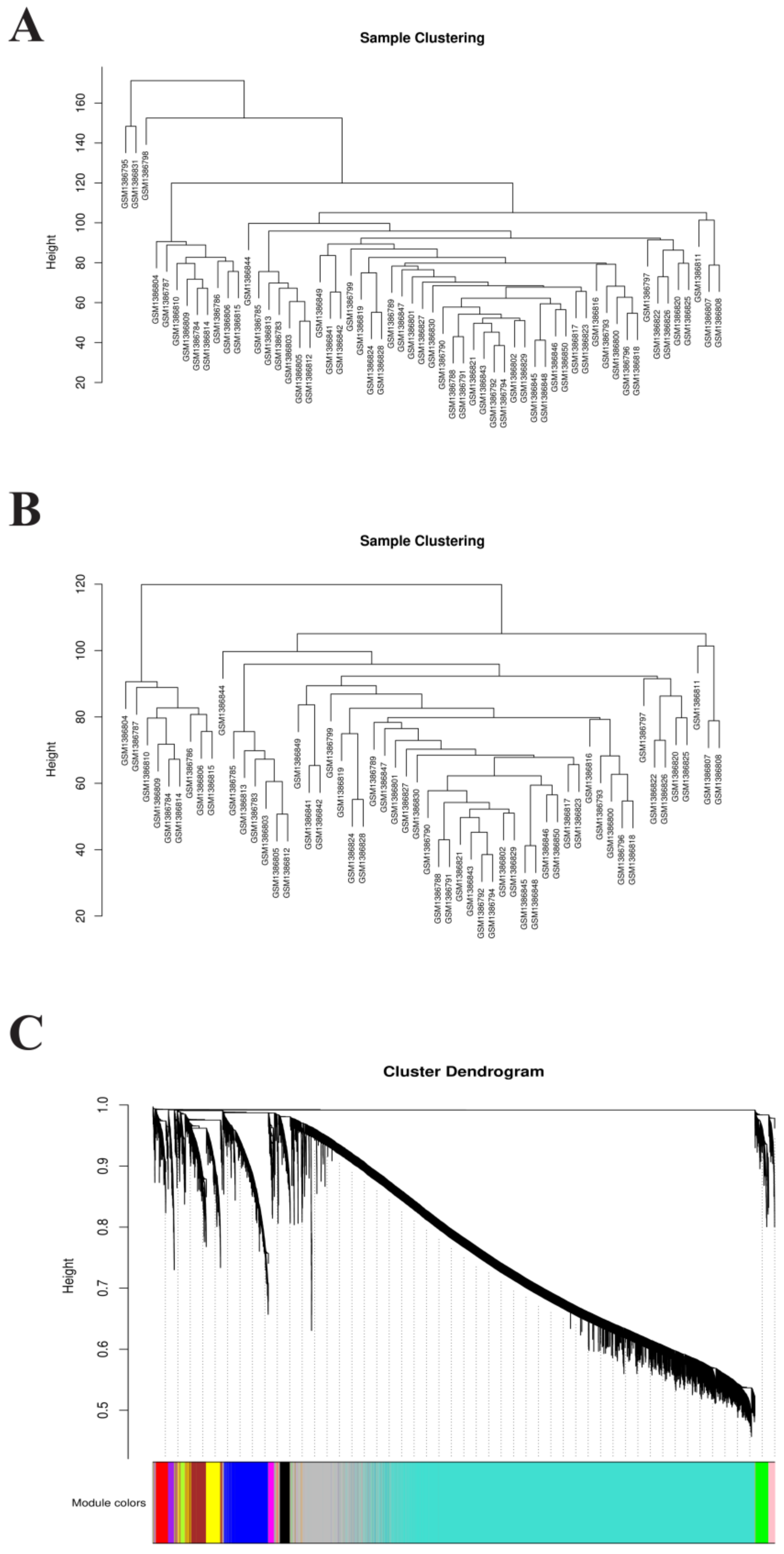 Biomedicines 10 01052 g003 Biomedicines 10 01052 g003