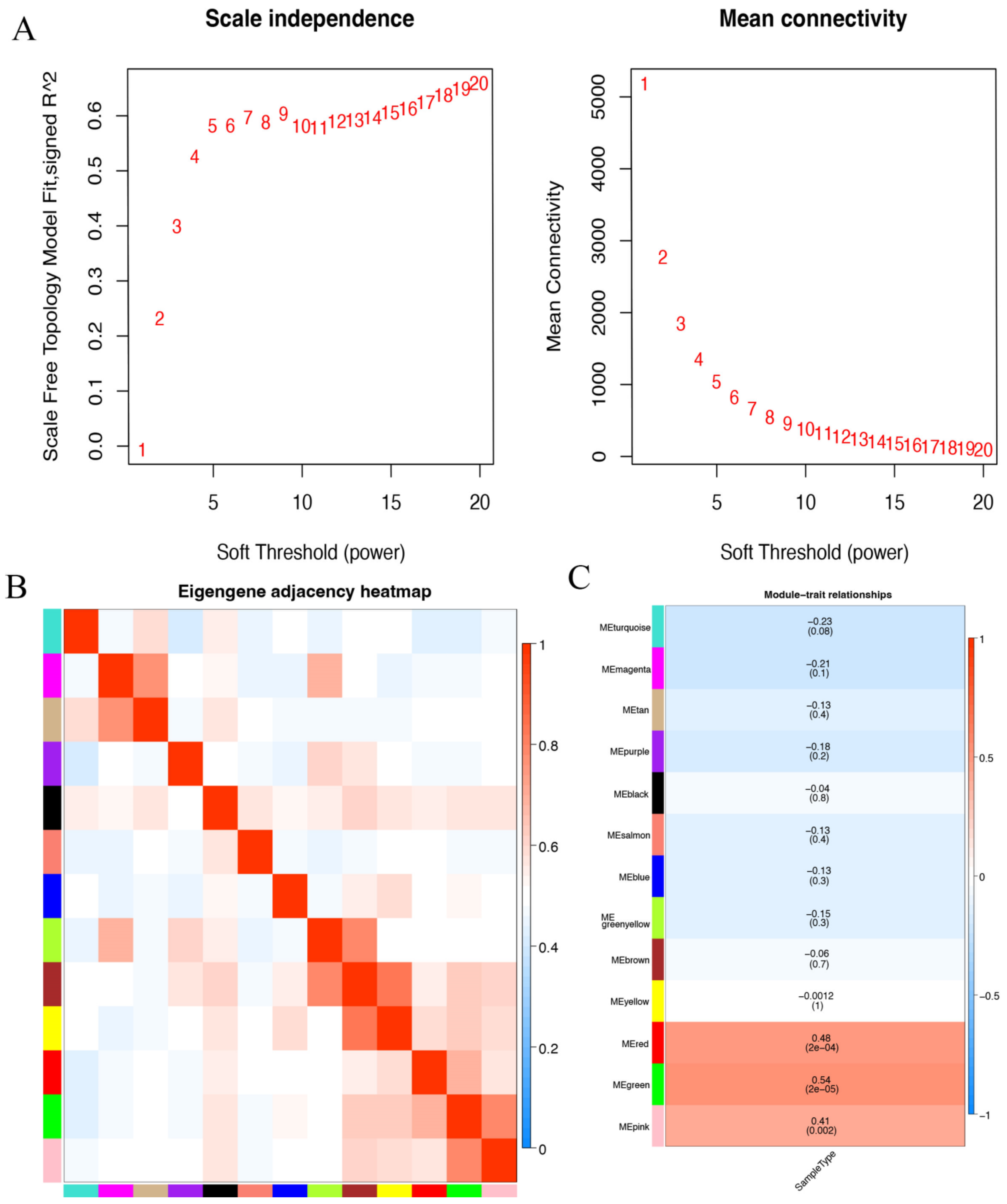 Biomedicines 10 01052 g004a Biomedicines 10 01052 g004a