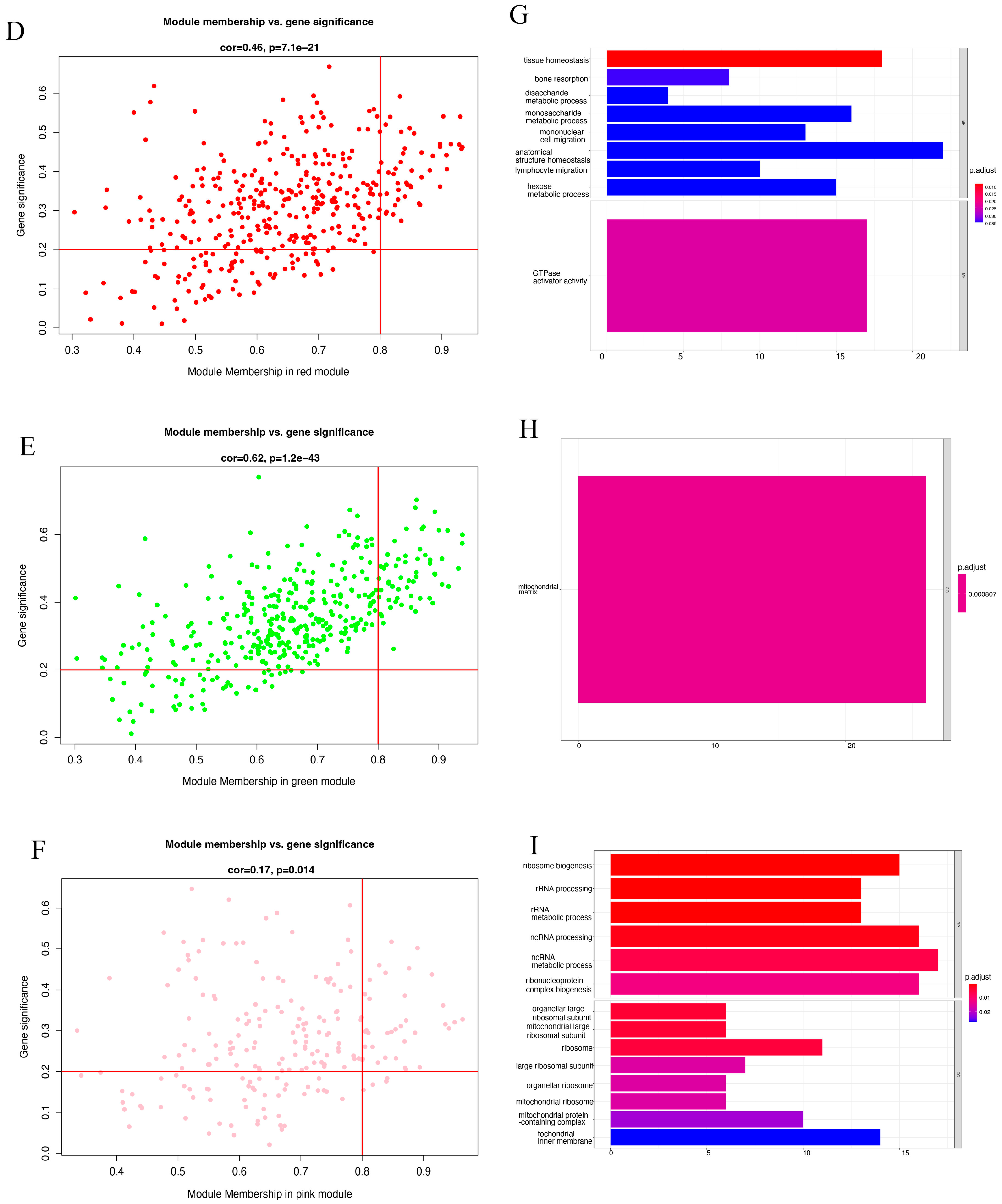 Biomedicines 10 01052 g004b Biomedicines 10 01052 g004b