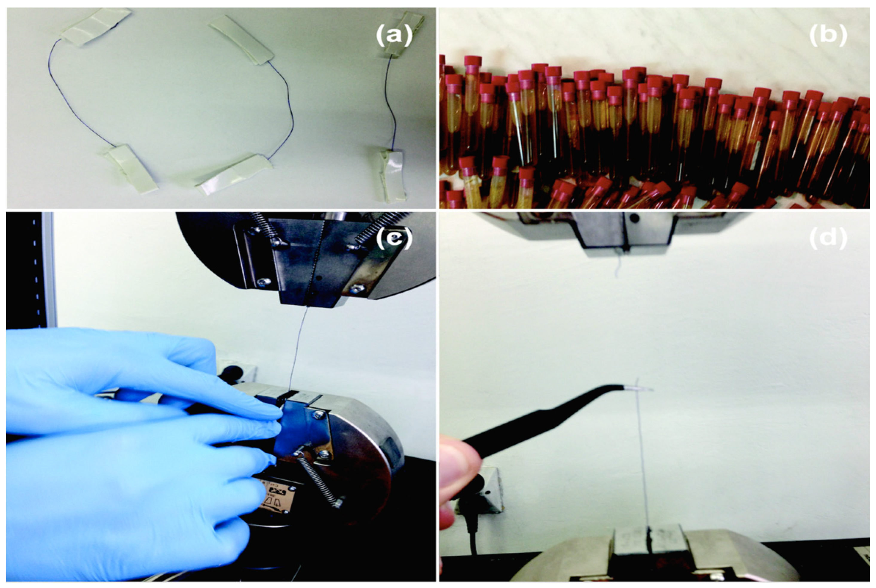 Biomedicines 10 01053 g001