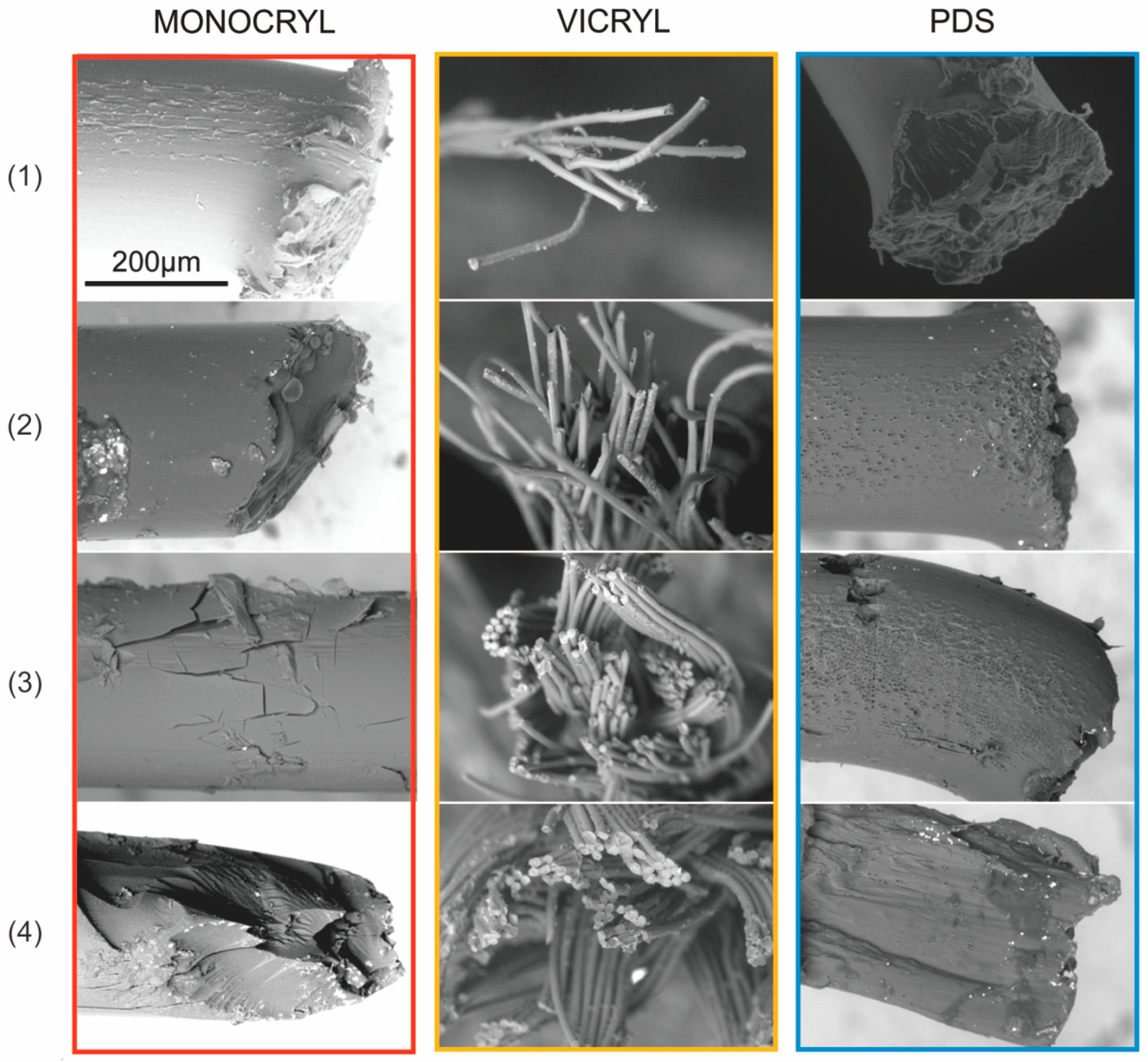 Biomedicines 10 01053 g006