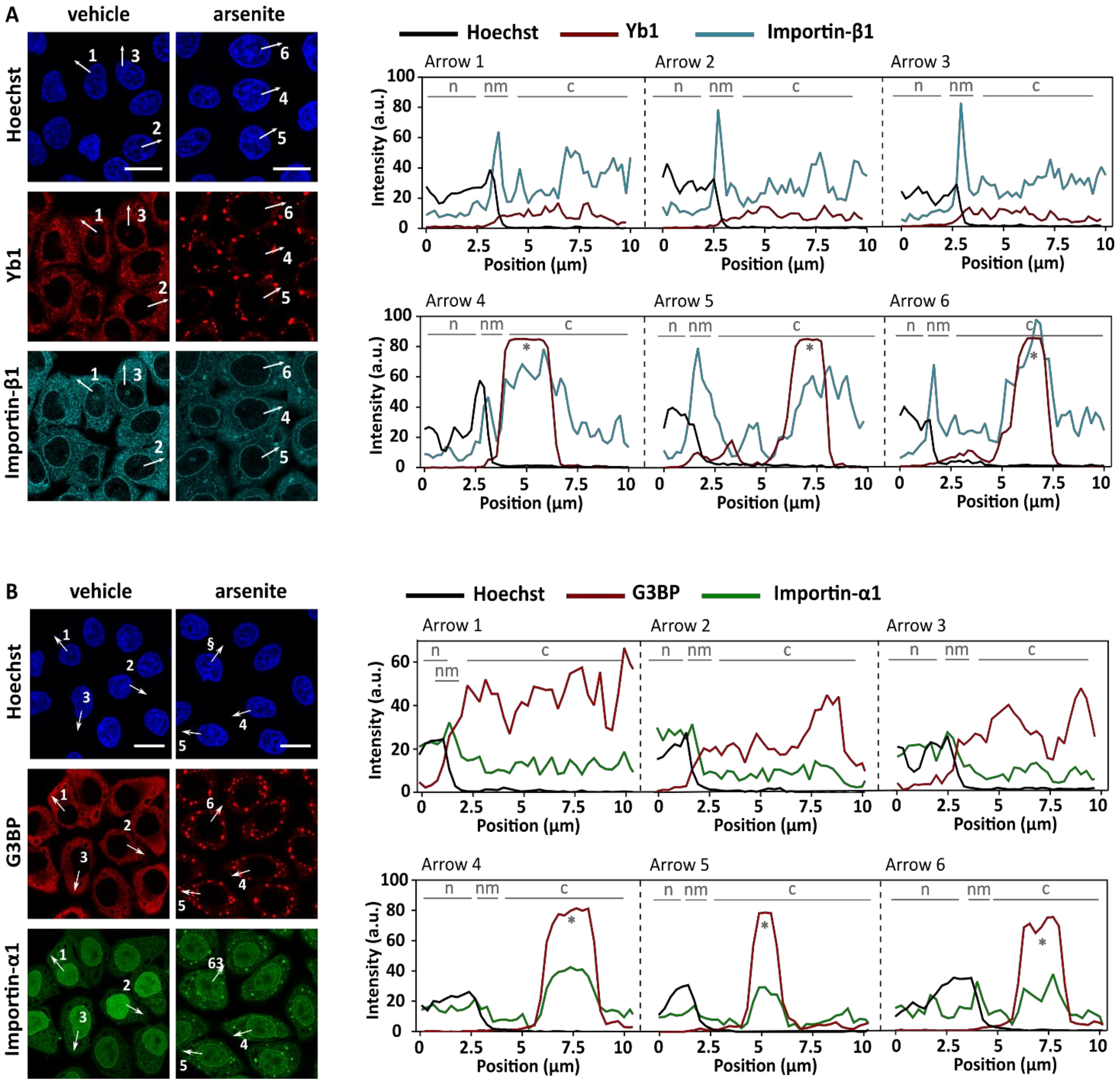 Biomedicines 10 01057 g001
