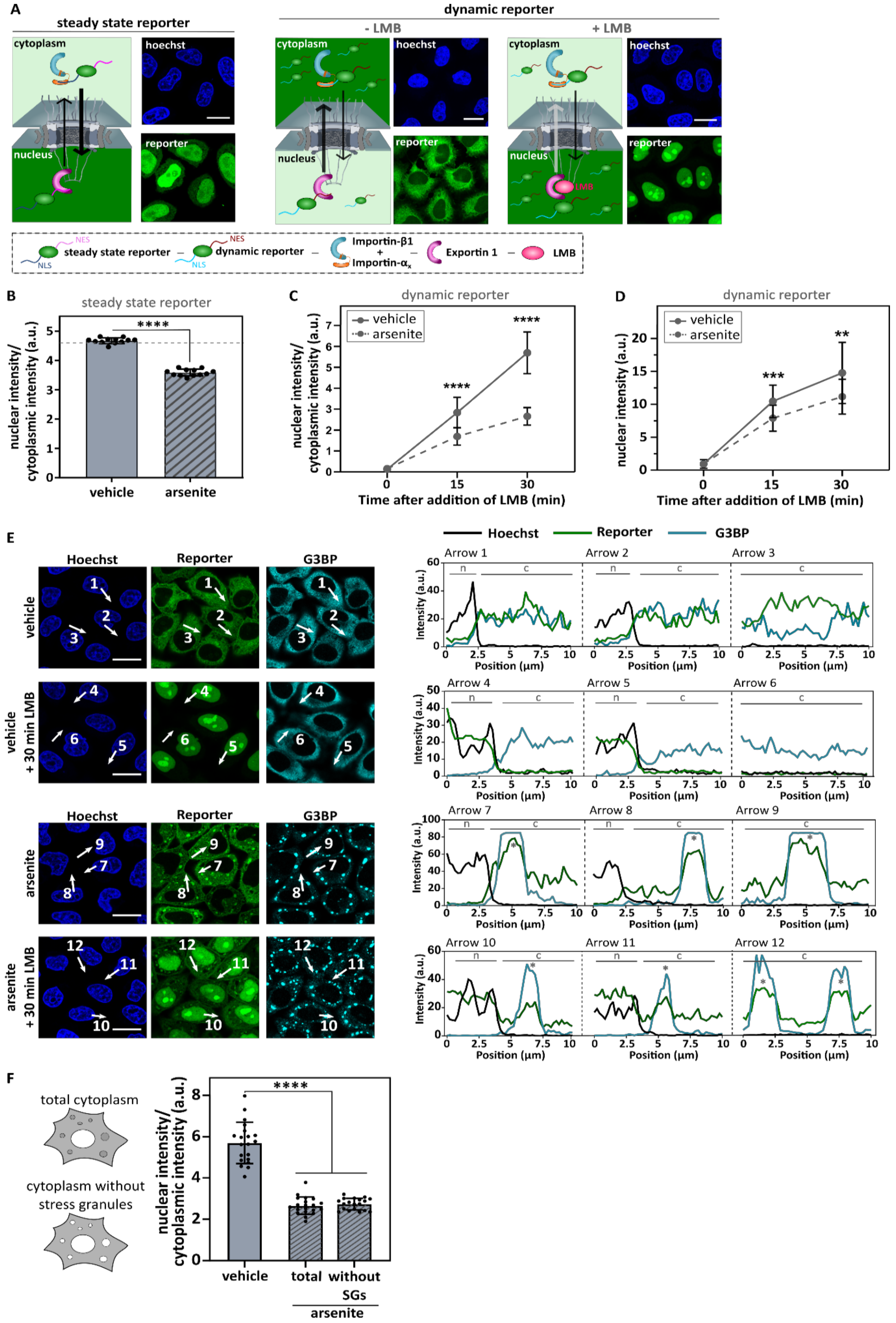 Biomedicines 10 01057 g002