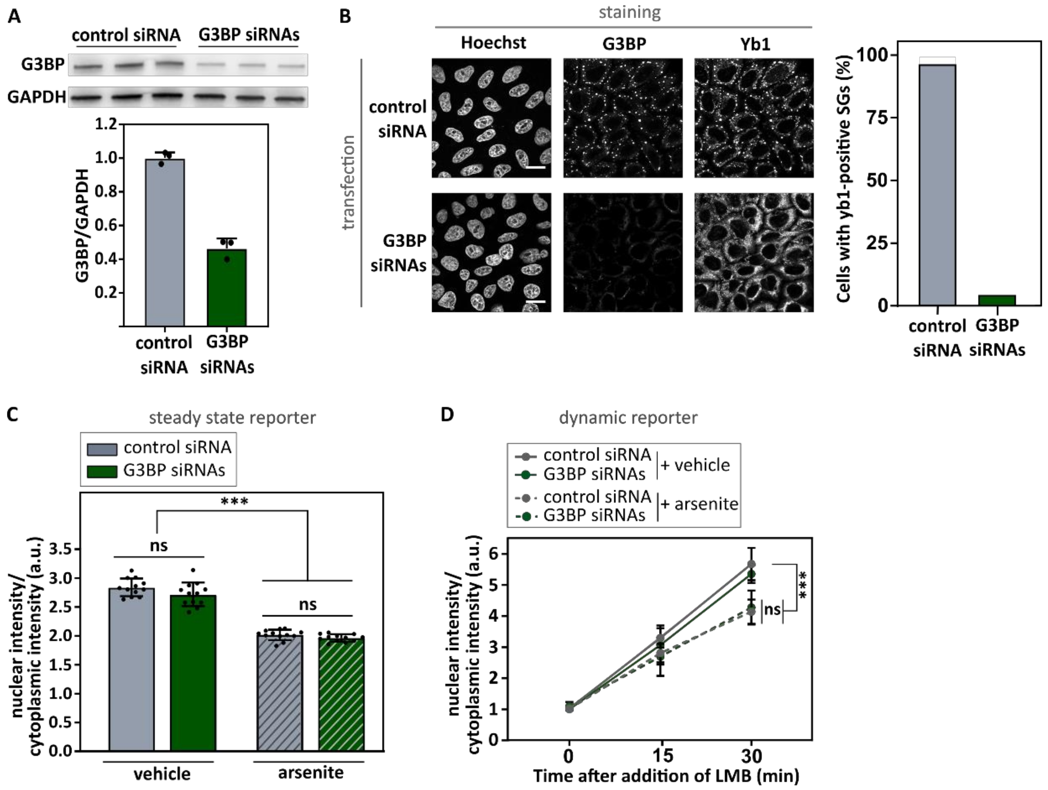Biomedicines 10 01057 g003