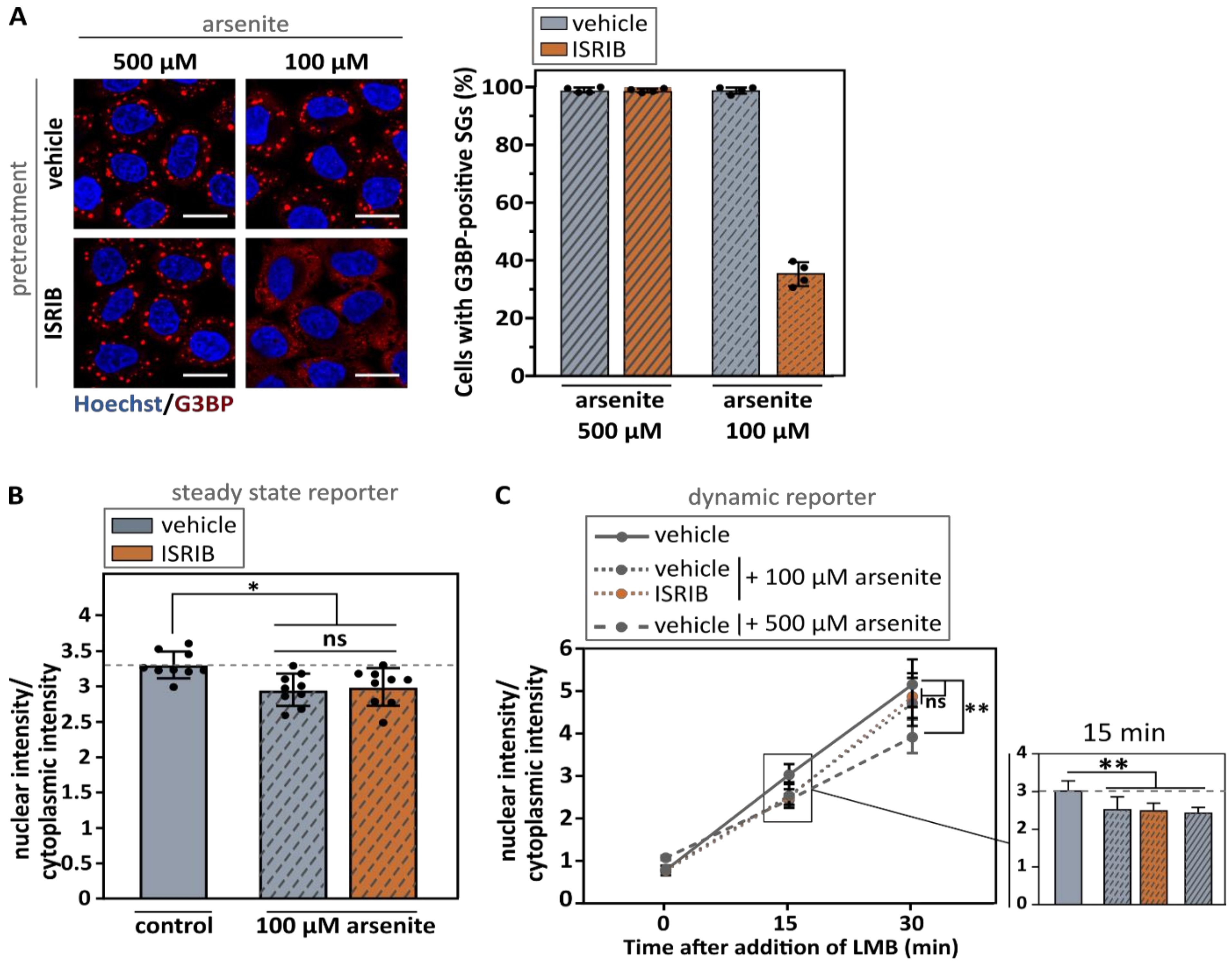 Biomedicines 10 01057 g004