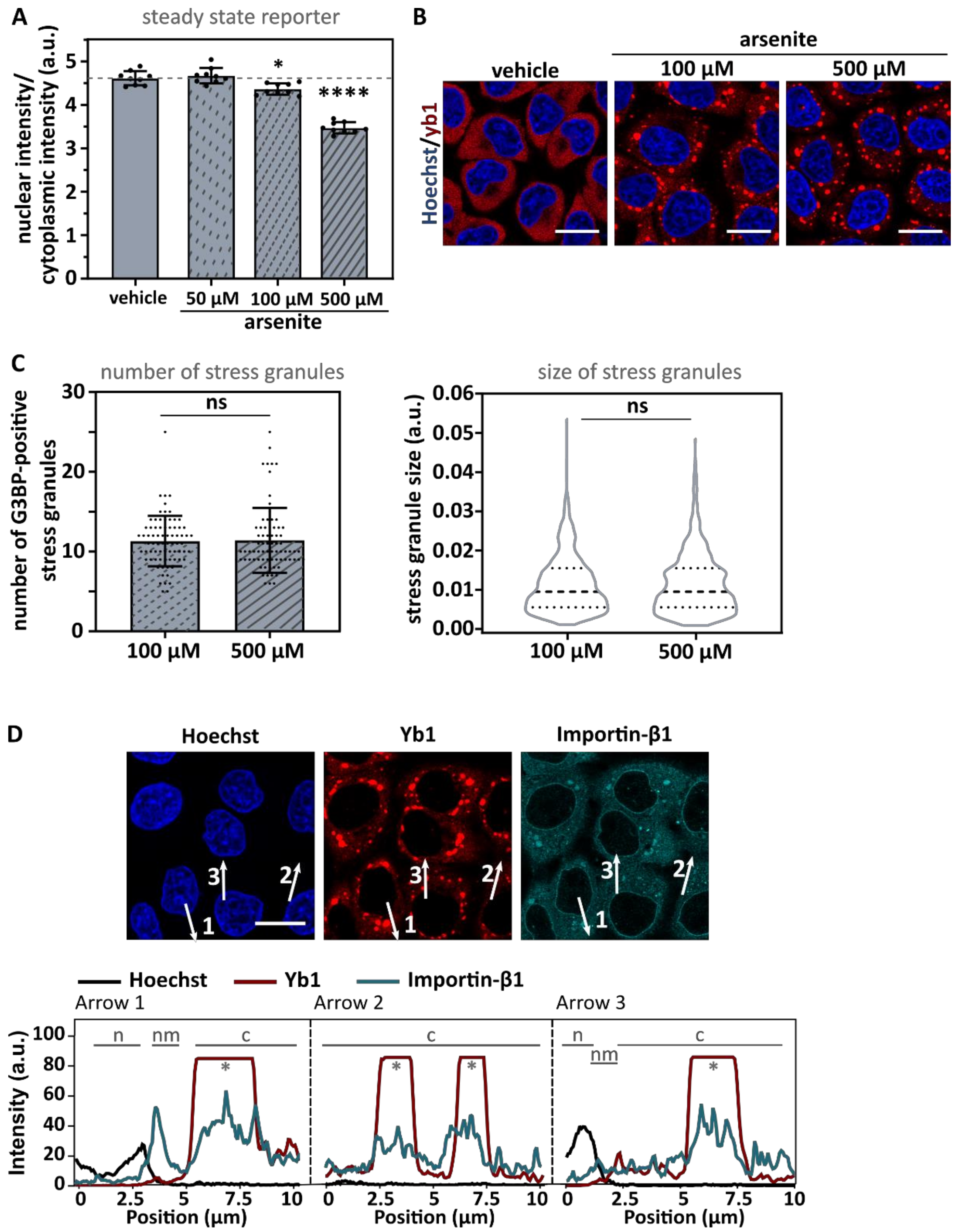 Biomedicines 10 01057 g005