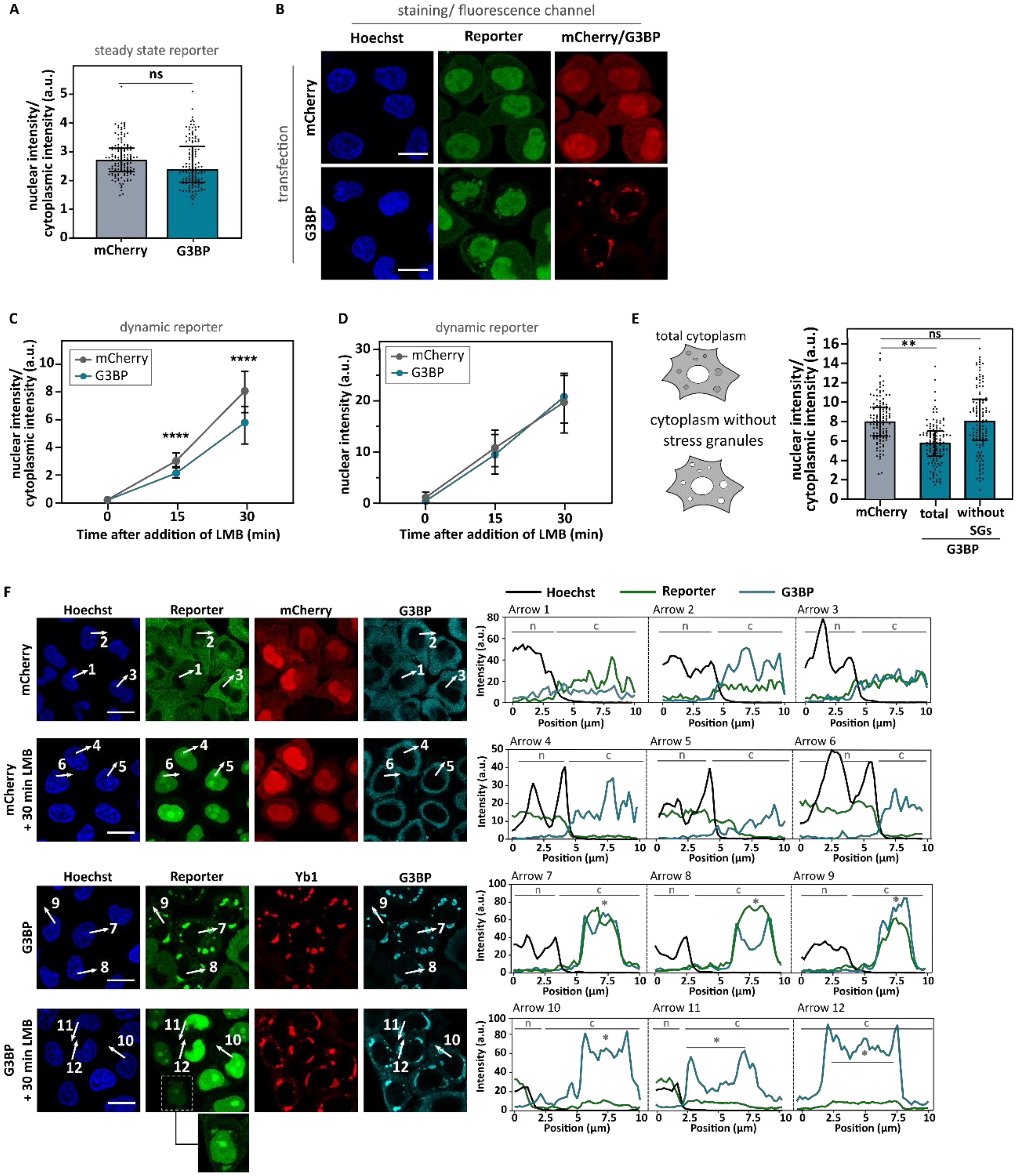 Biomedicines 10 01057 g007