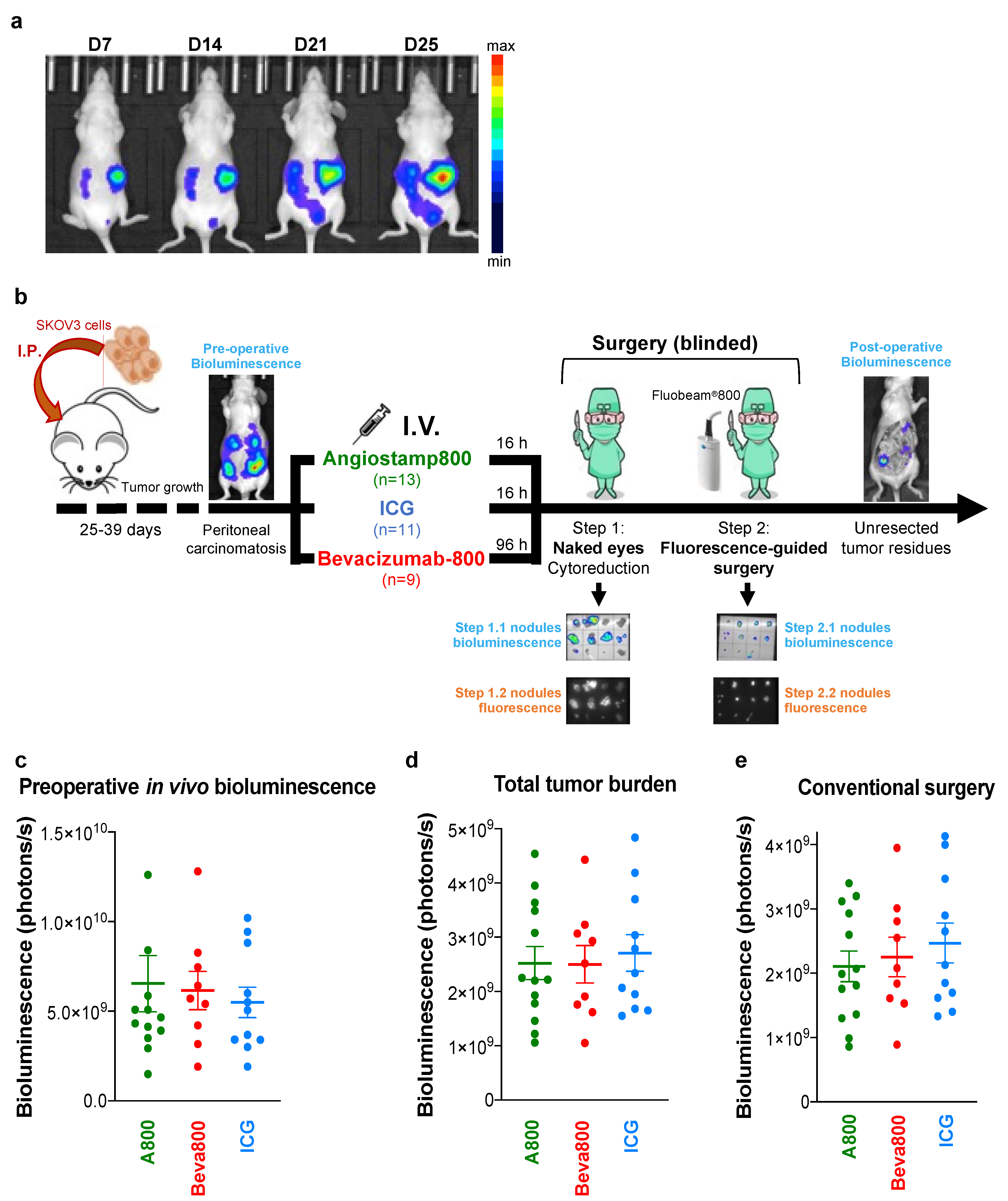Biomedicines 10 01059 g001 550