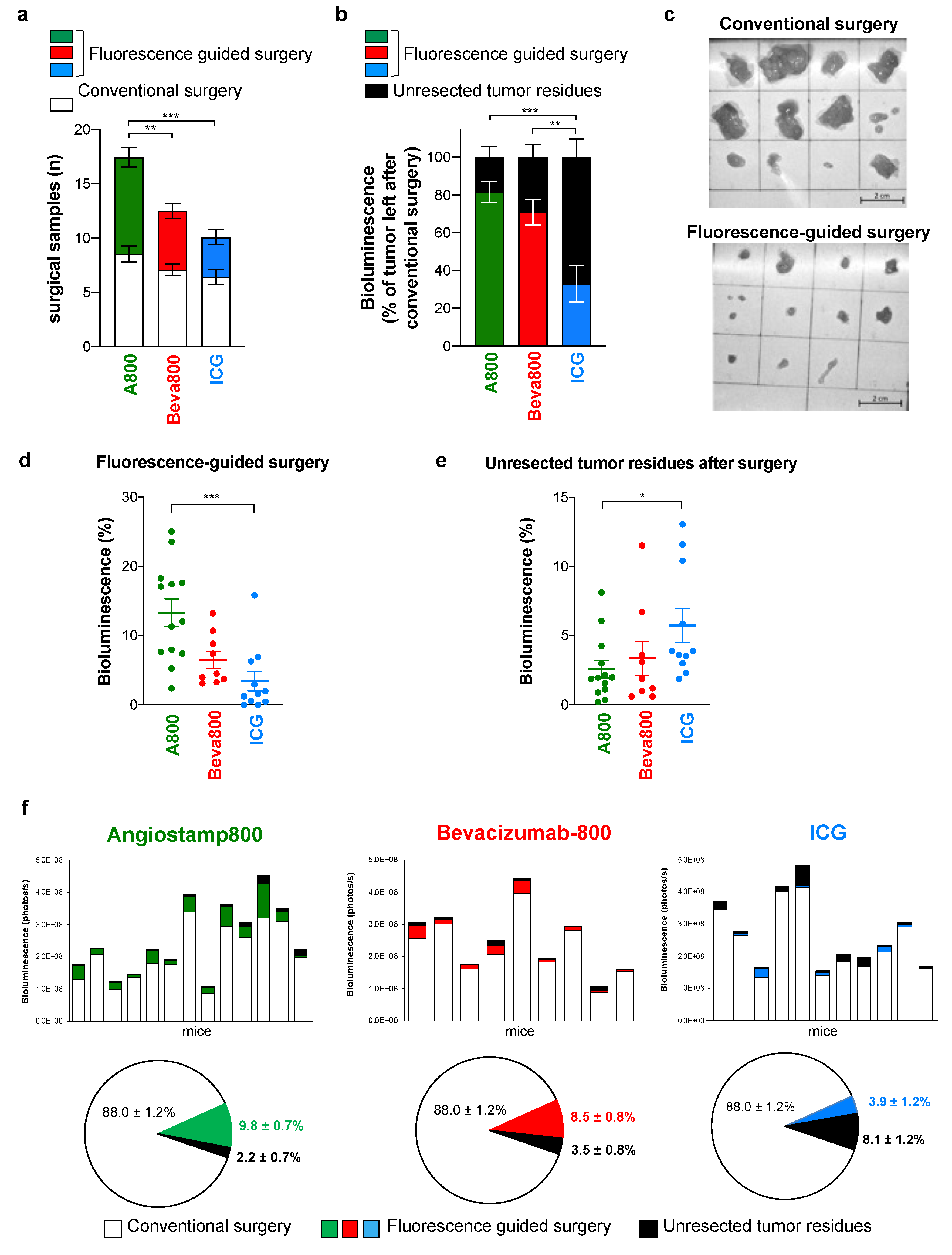 Biomedicines 10 01059 g002 550