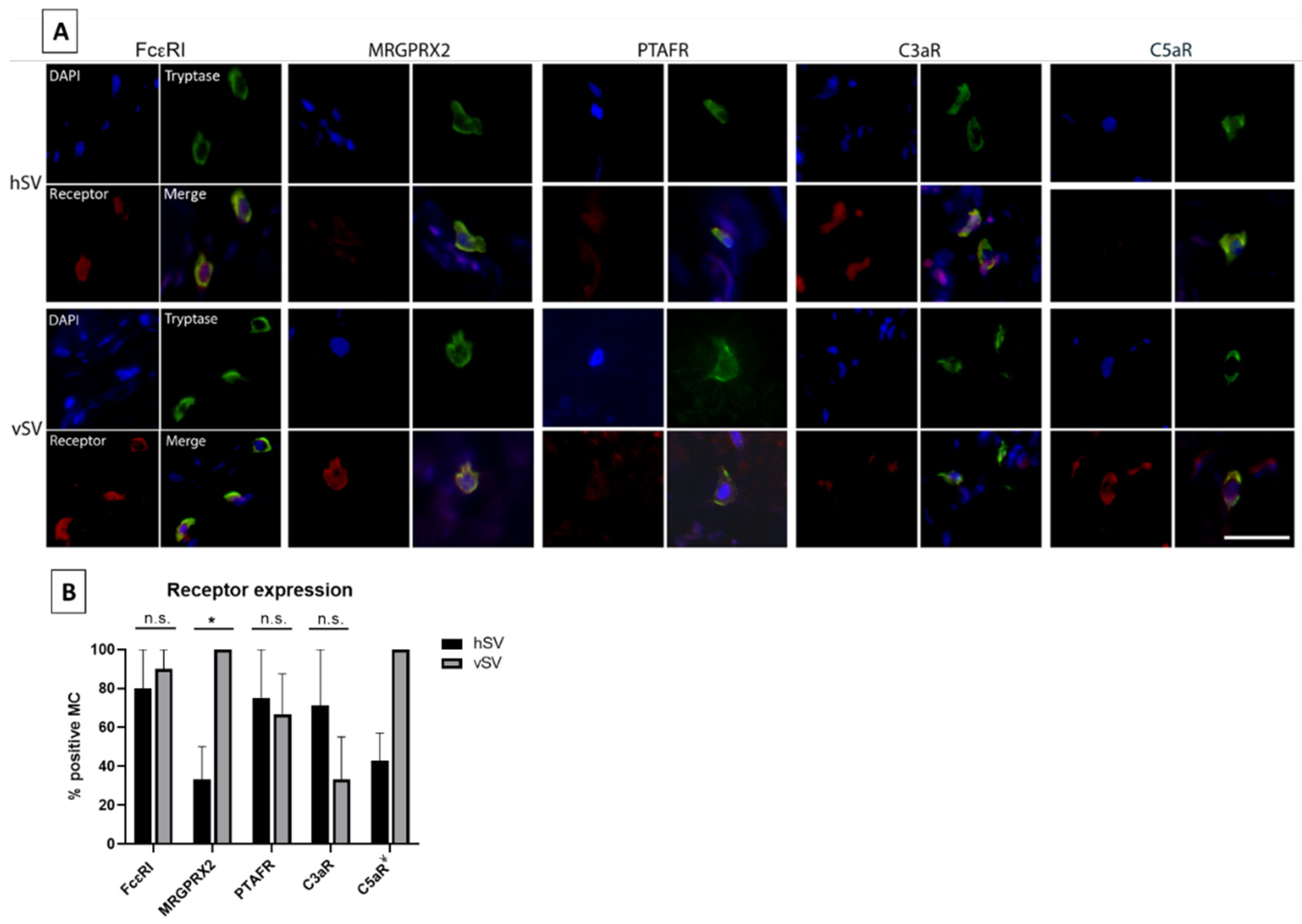Biomedicines 10 01062 g003