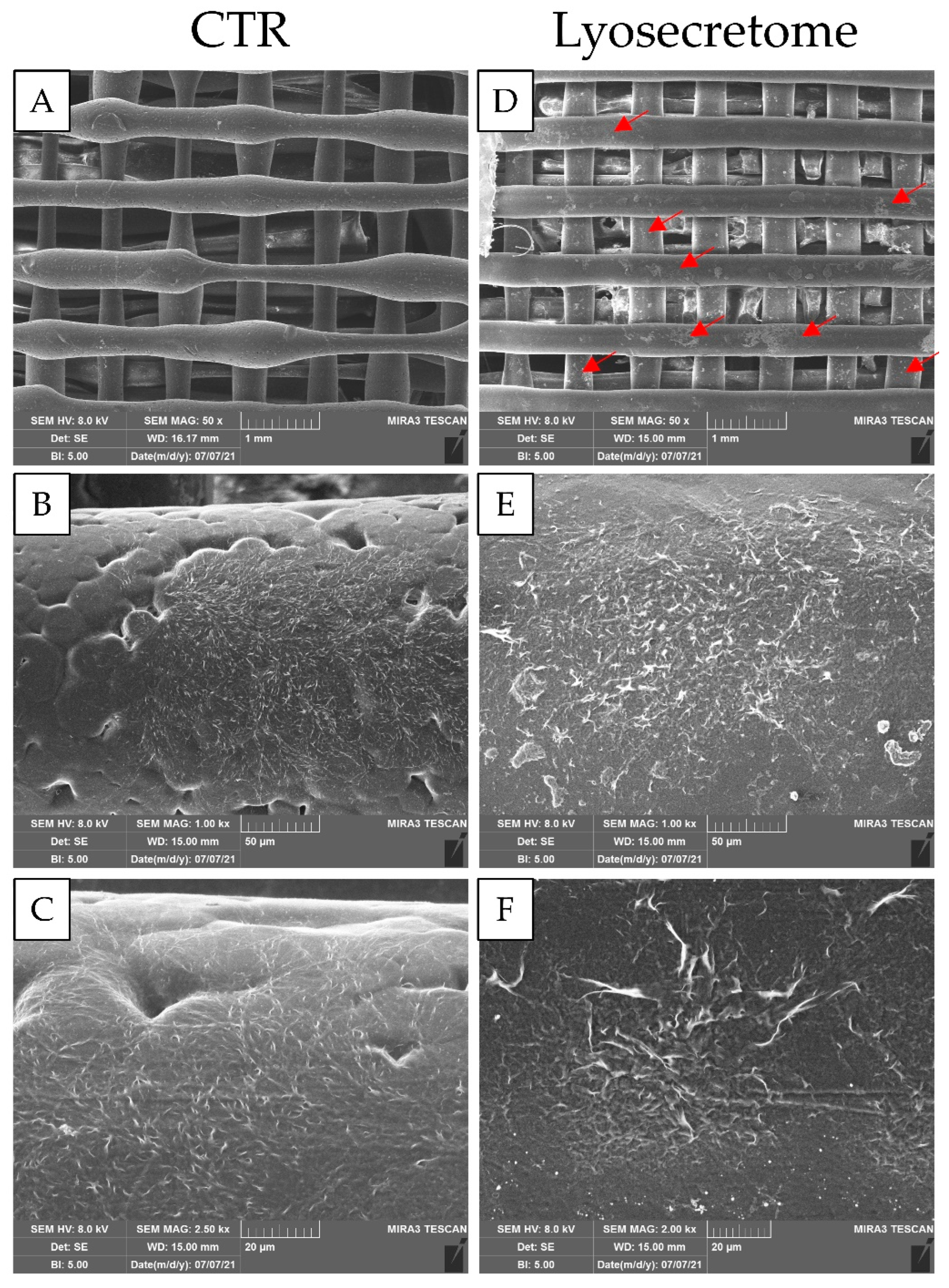 Biomedicines 10 01063 g002