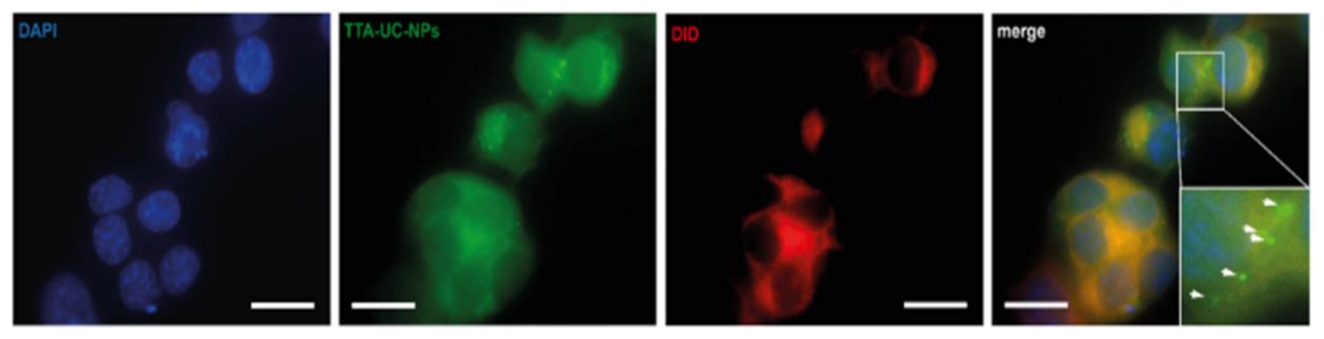 Biomedicines 10 01070 g005 550