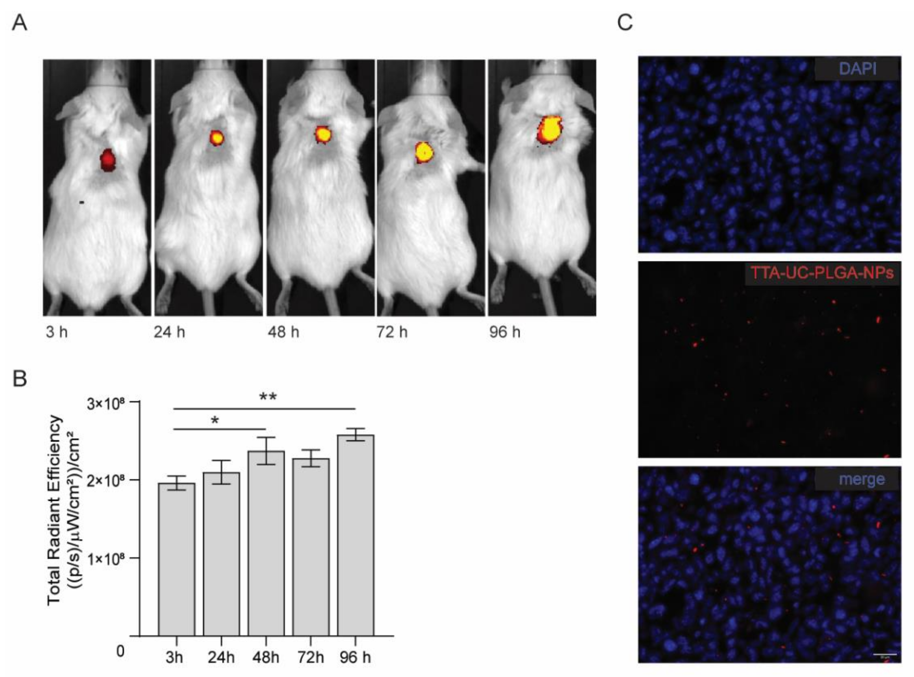 Biomedicines 10 01070 g008 550