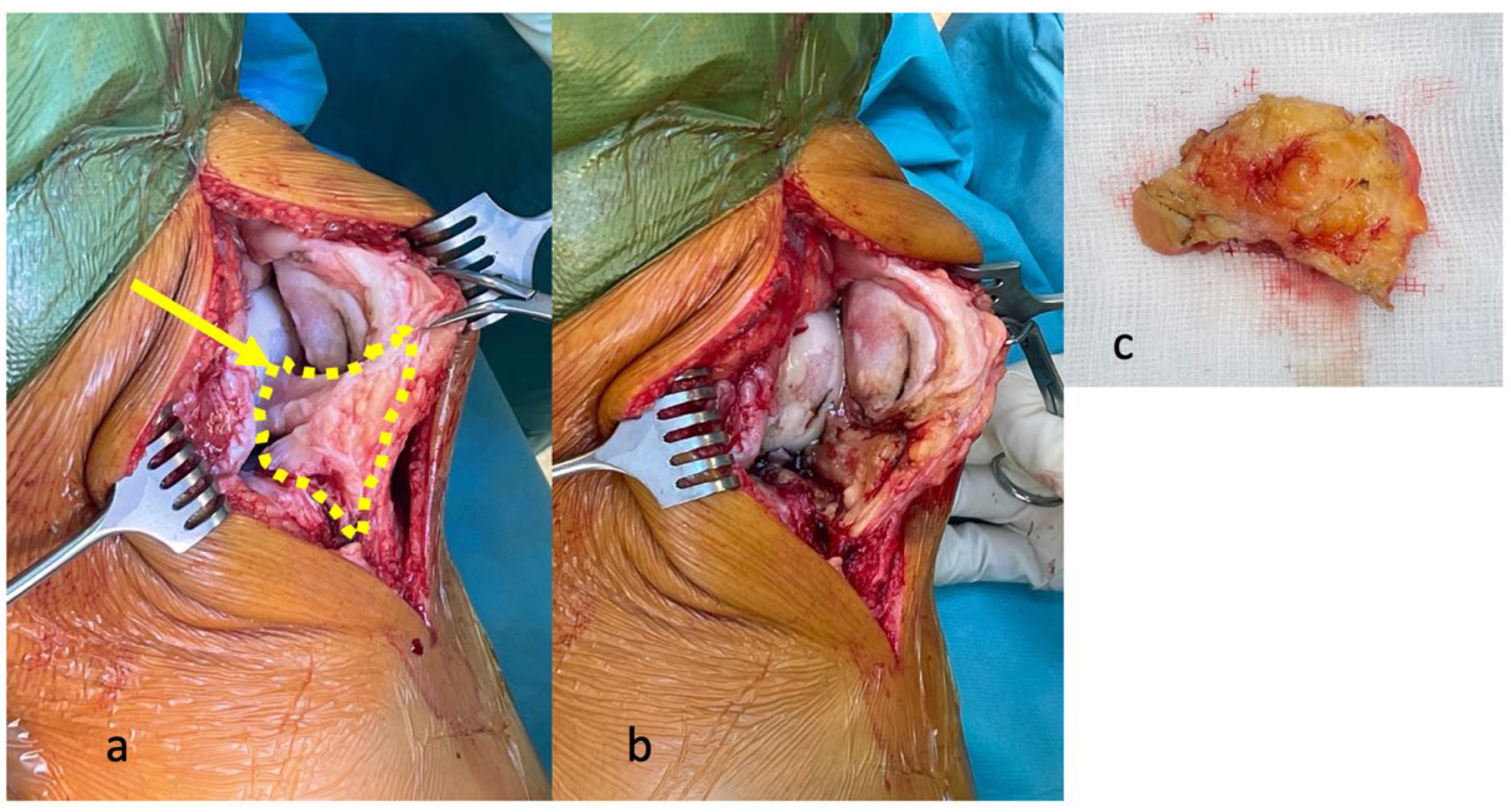 Biomedicines 10 01071 g003