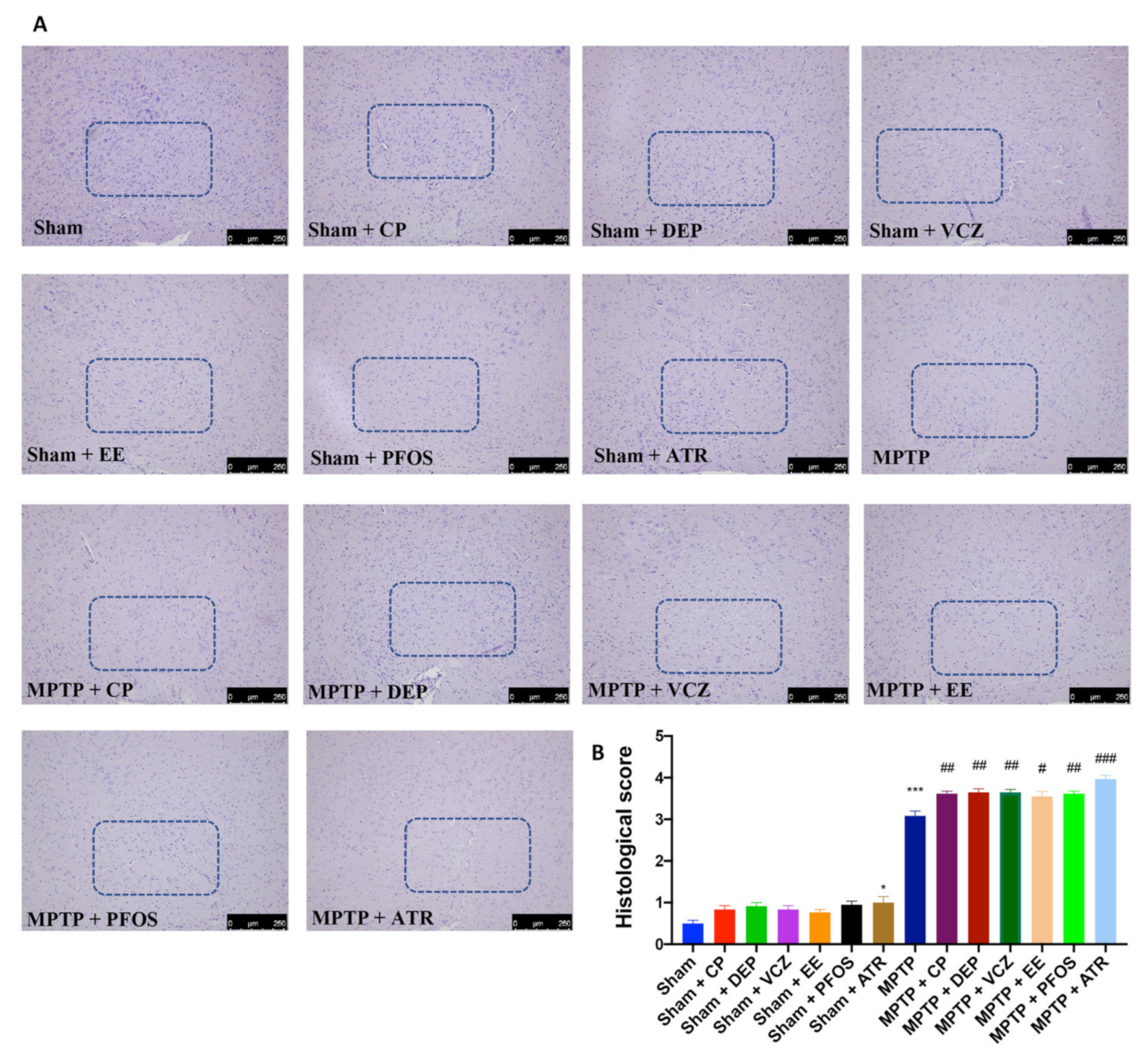 Biomedicines 10 01073 g001 Biomedicines 10 01073 g001