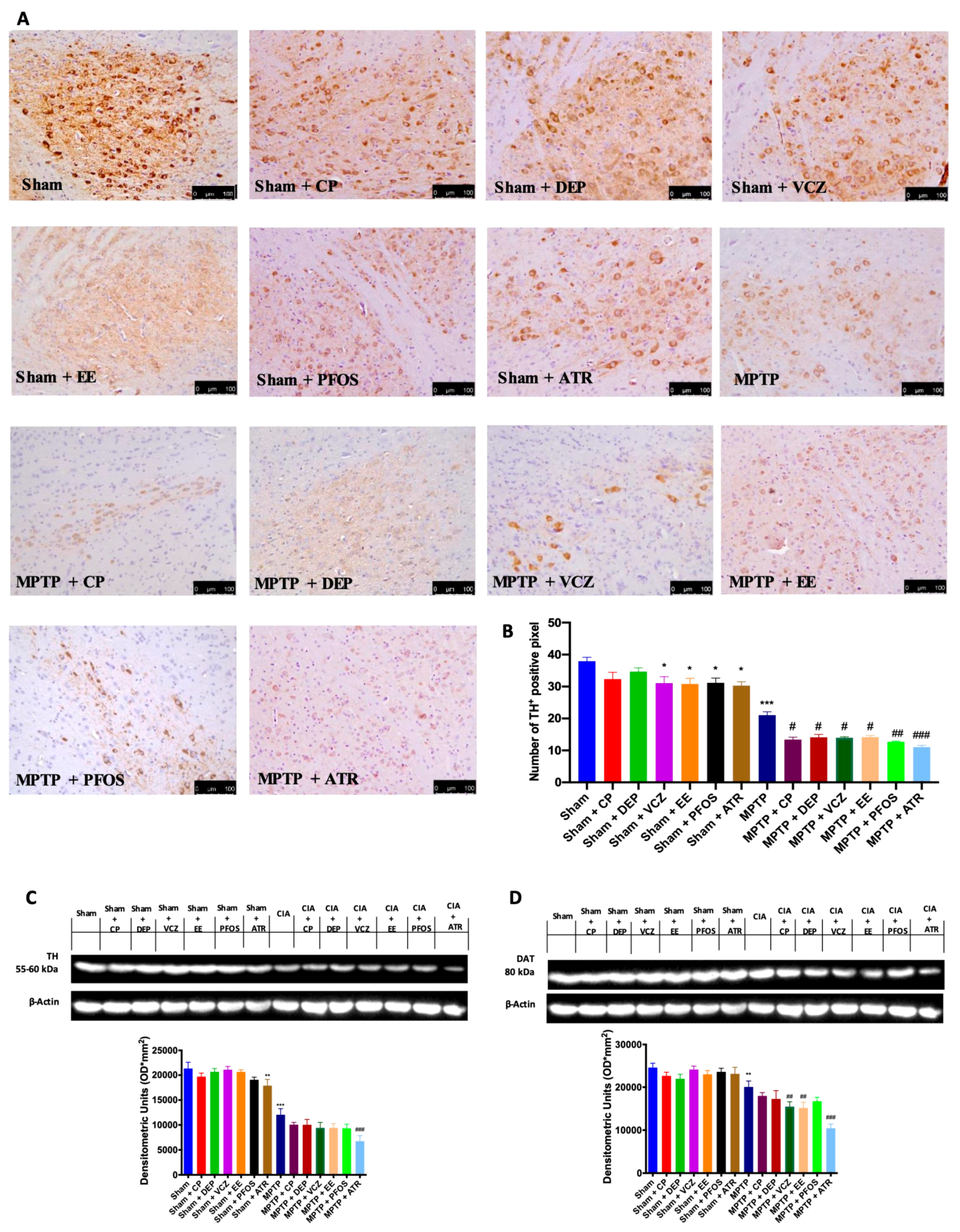 Biomedicines 10 01073 g002 Biomedicines 10 01073 g002
