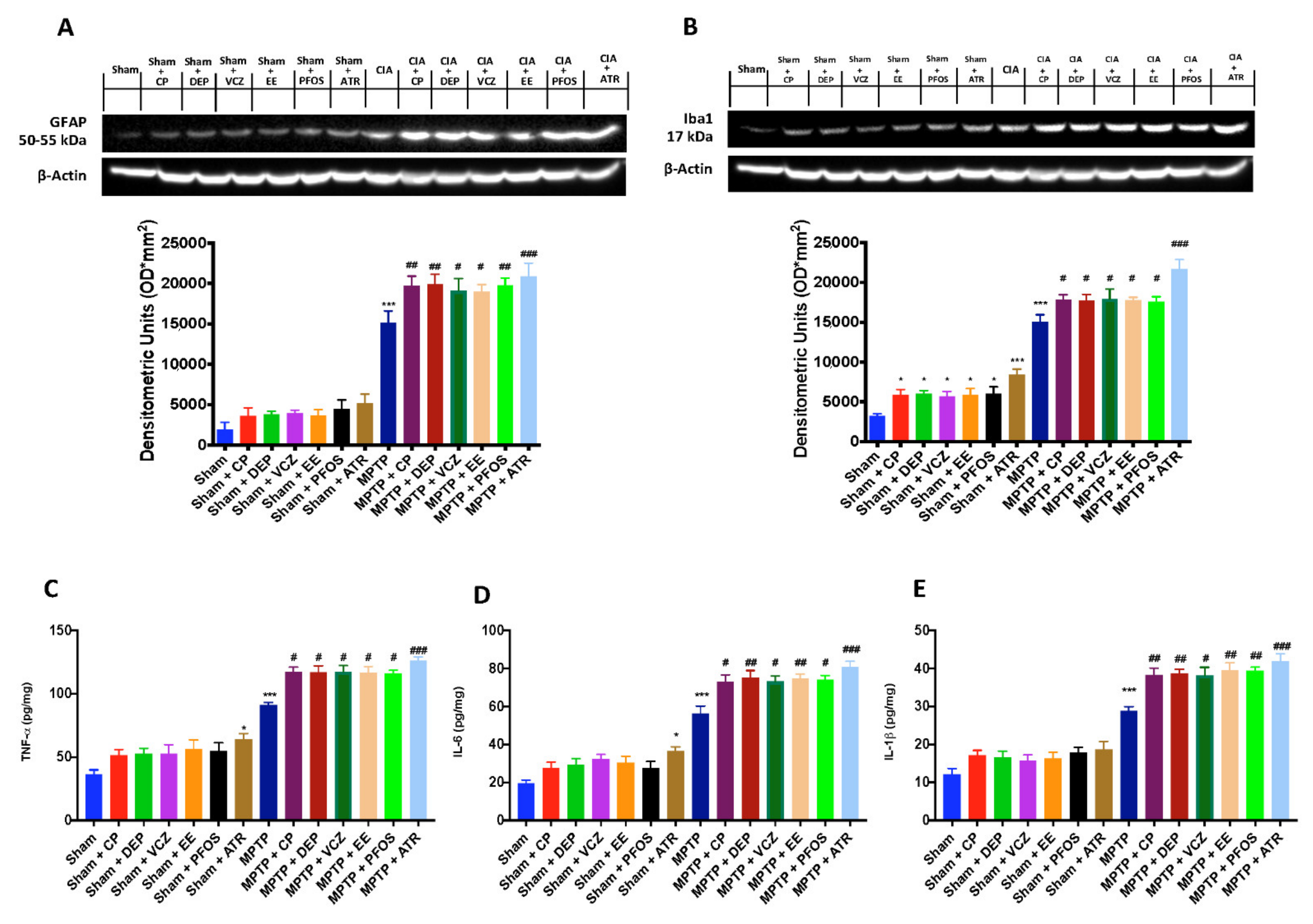 Biomedicines 10 01073 g004 Biomedicines 10 01073 g004