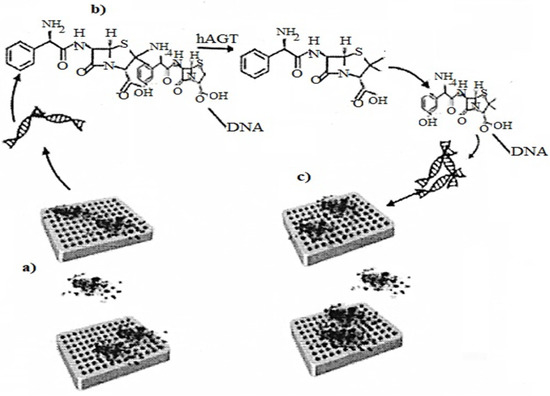 Biomedicines 10 01079 g007 550