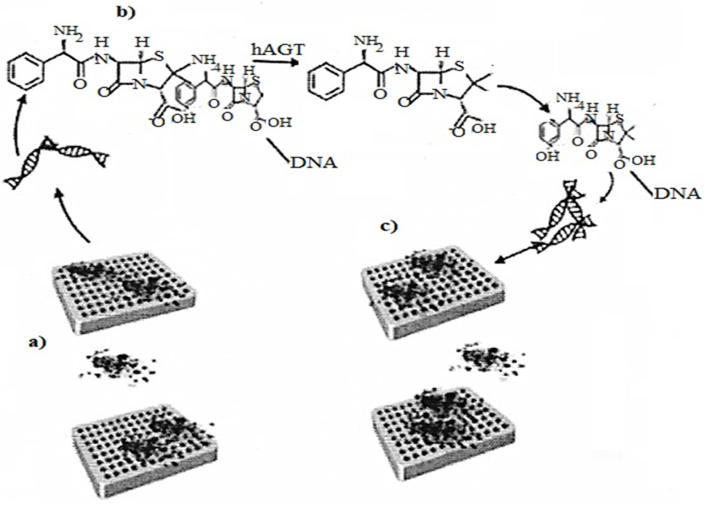 Biomedicines 10 01079 g007 Biomedicines 10 01079 g007