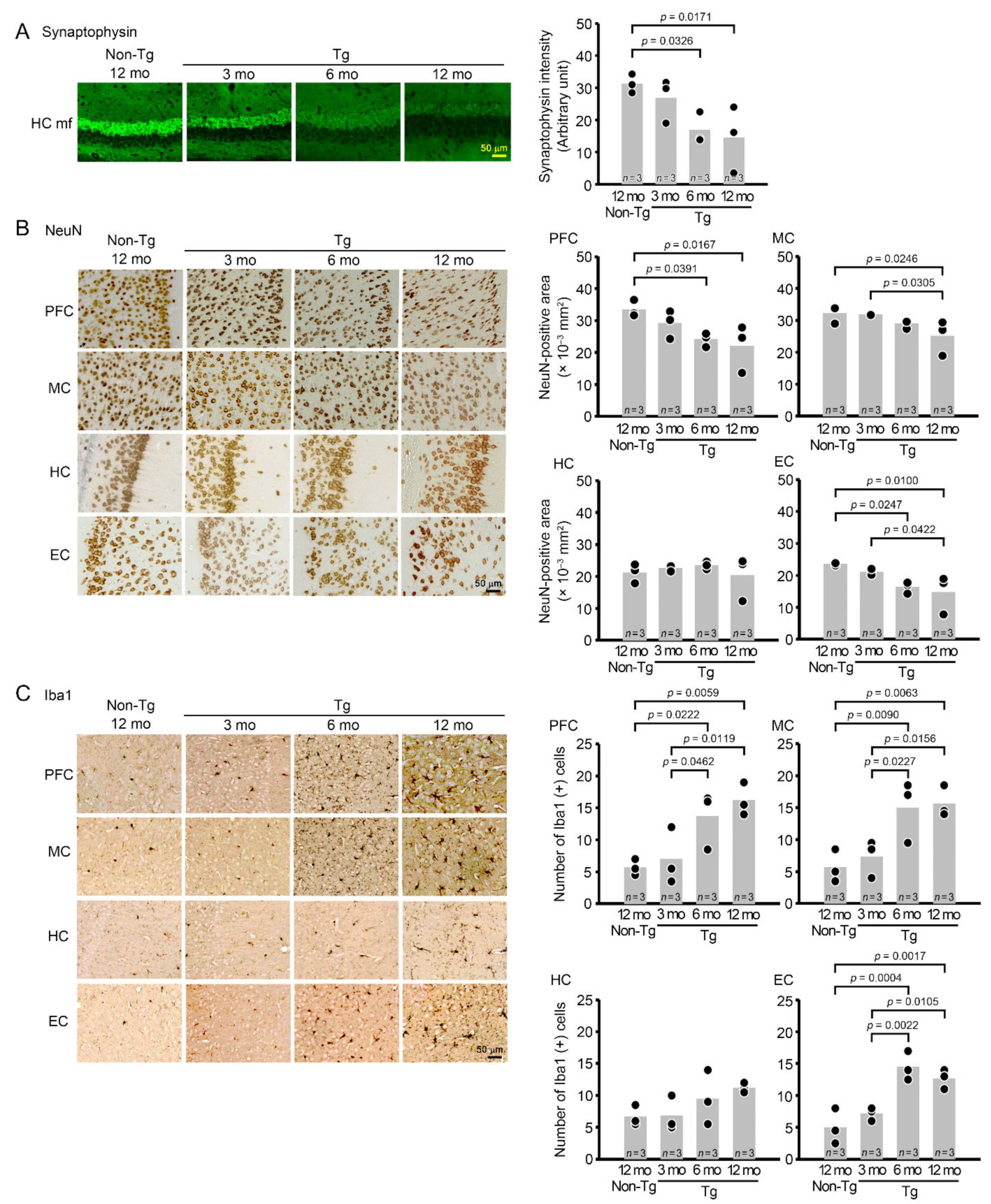 Biomedicines 10 01080 g003 550