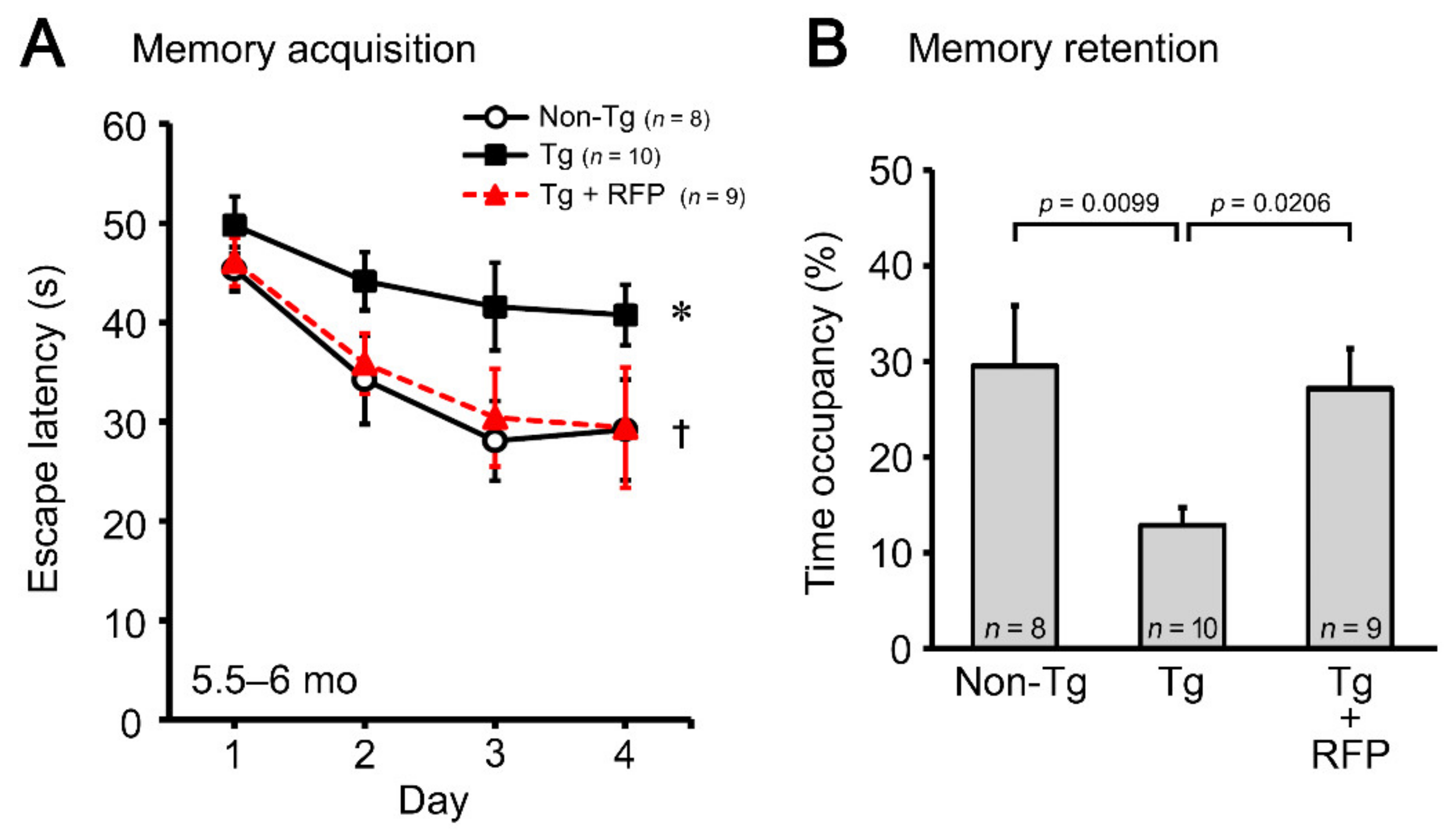 Biomedicines 10 01080 g004 550