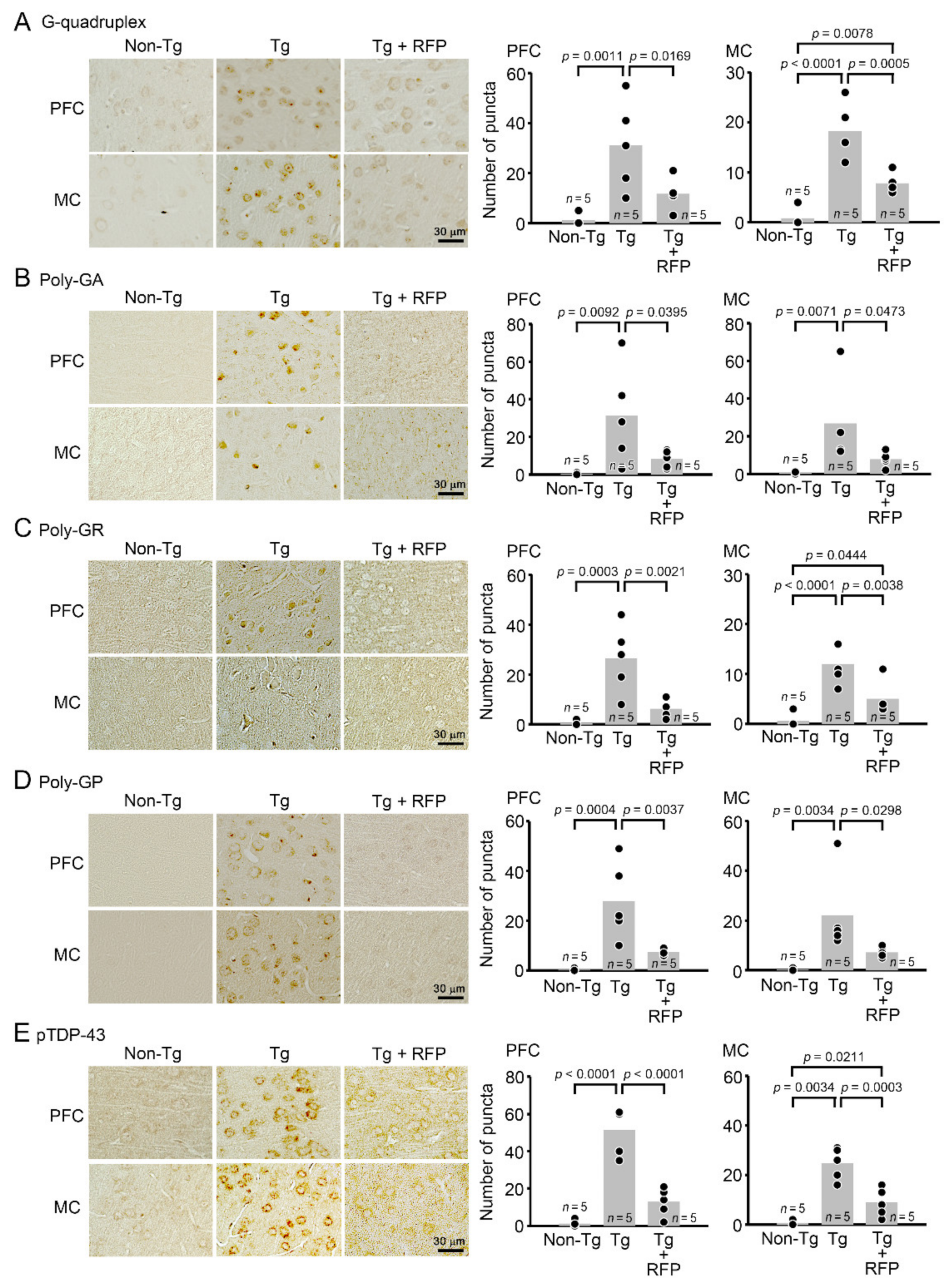 Biomedicines 10 01080 g005 550