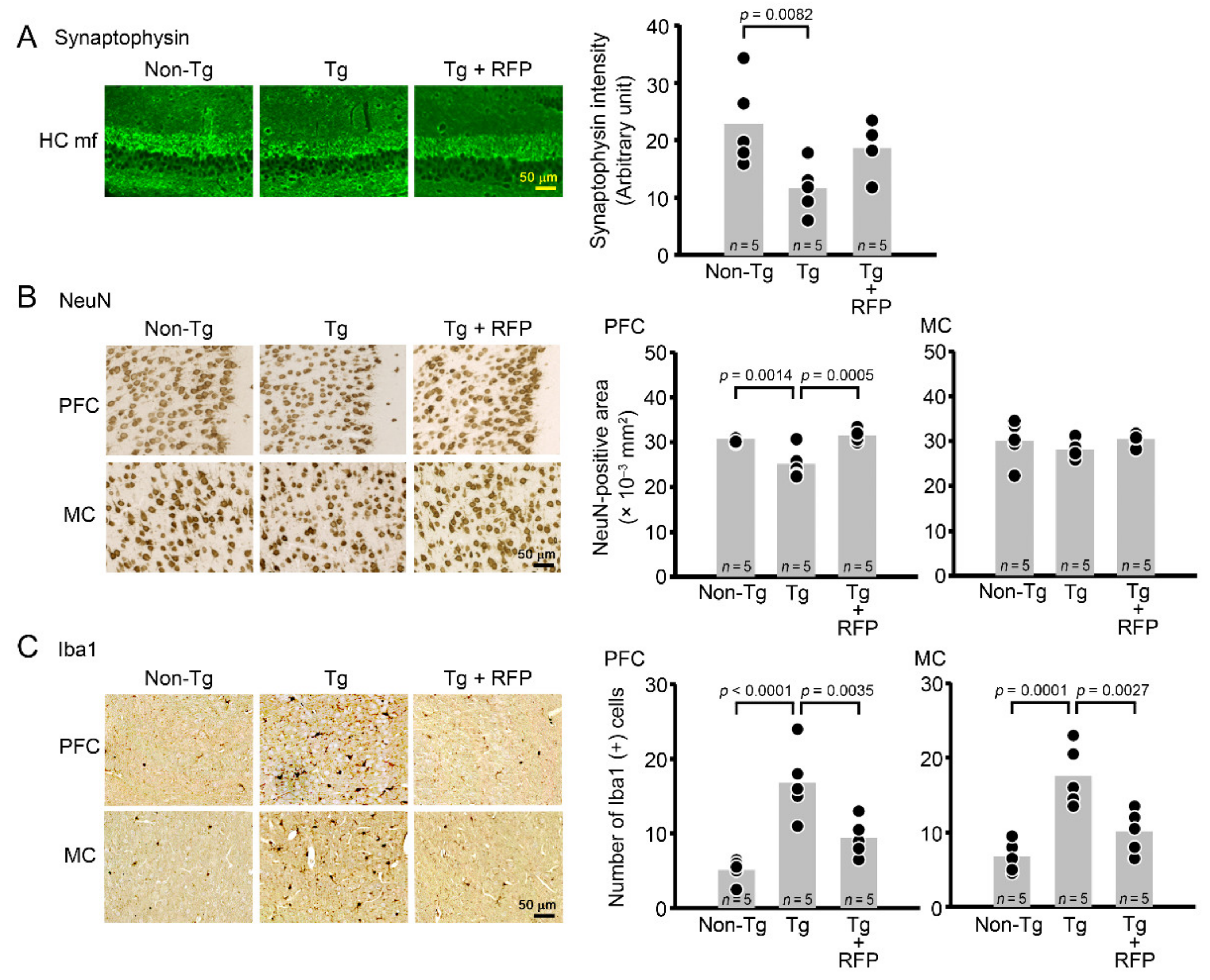 Biomedicines 10 01080 g007 550