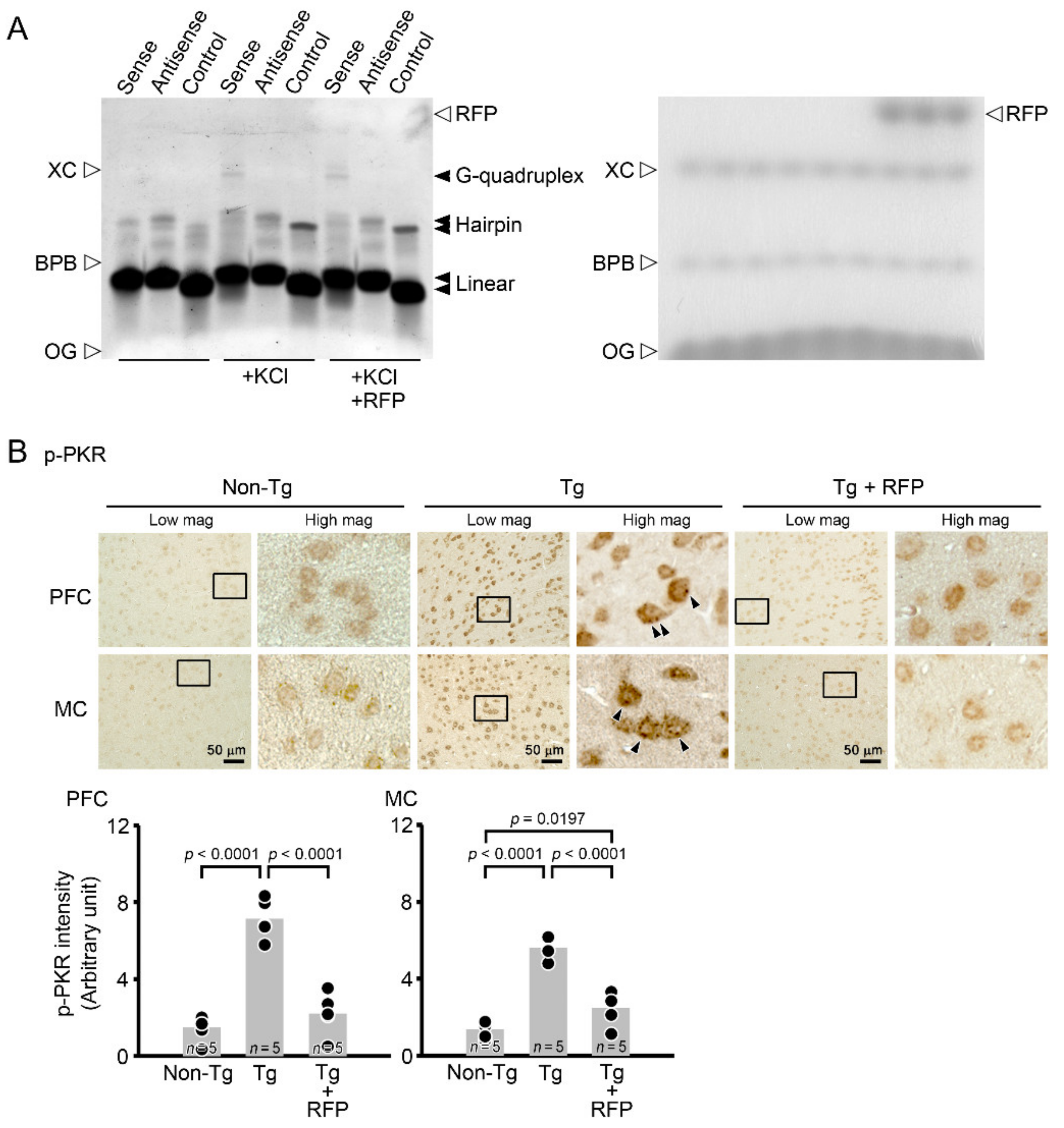 Biomedicines 10 01080 g008 550