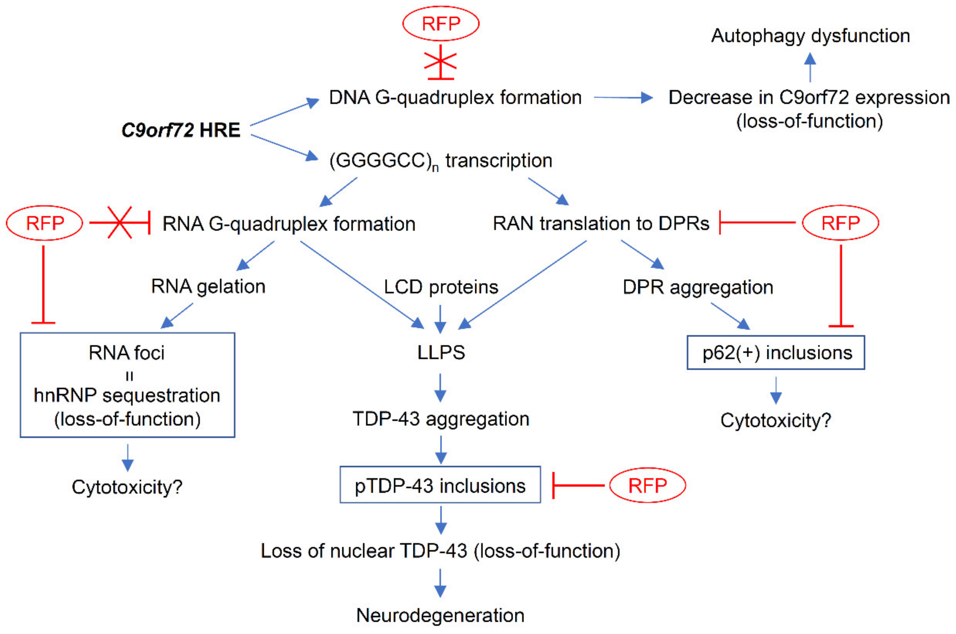 Biomedicines 10 01080 g009 550