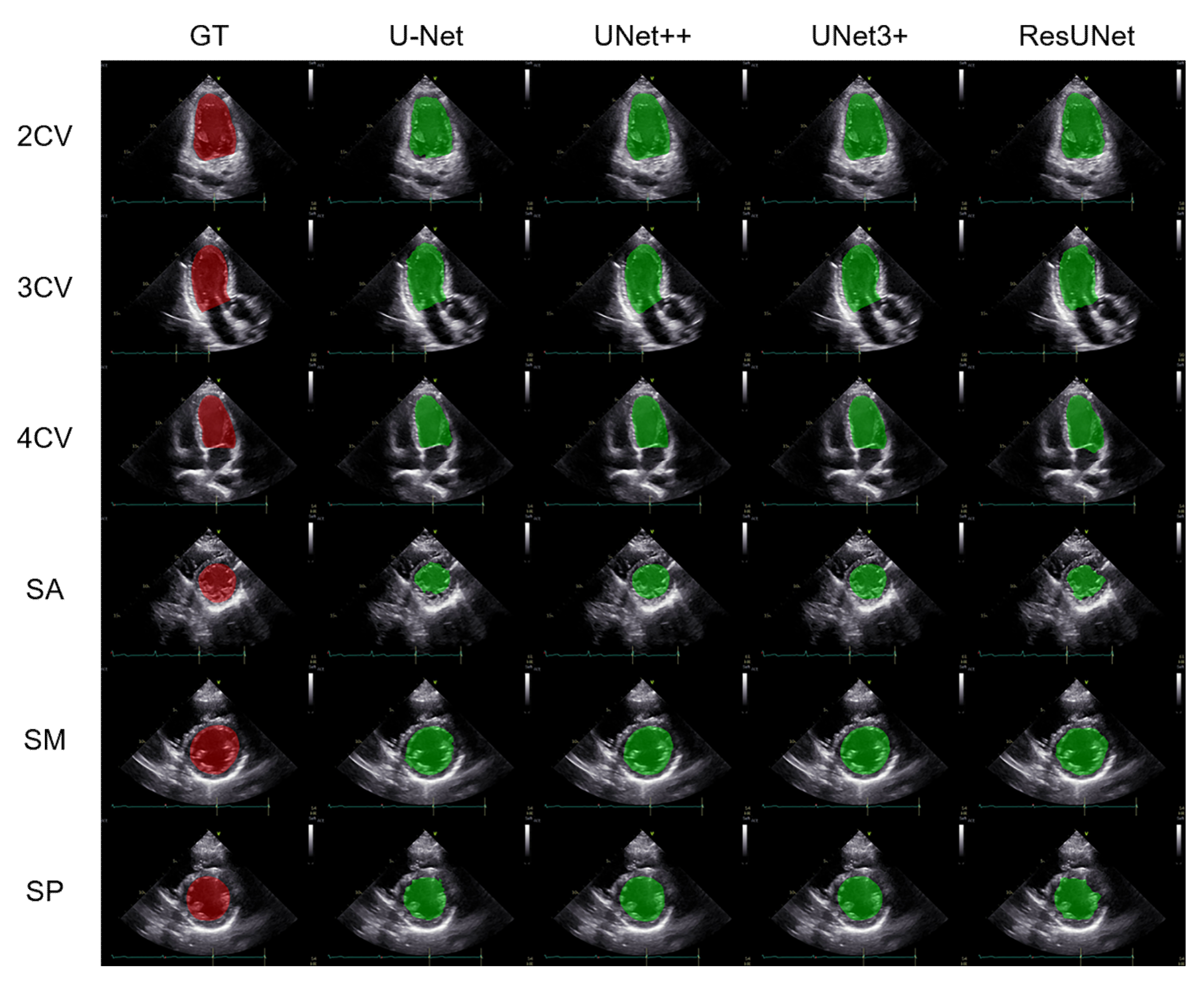 Biomedicines 10 01082 g002