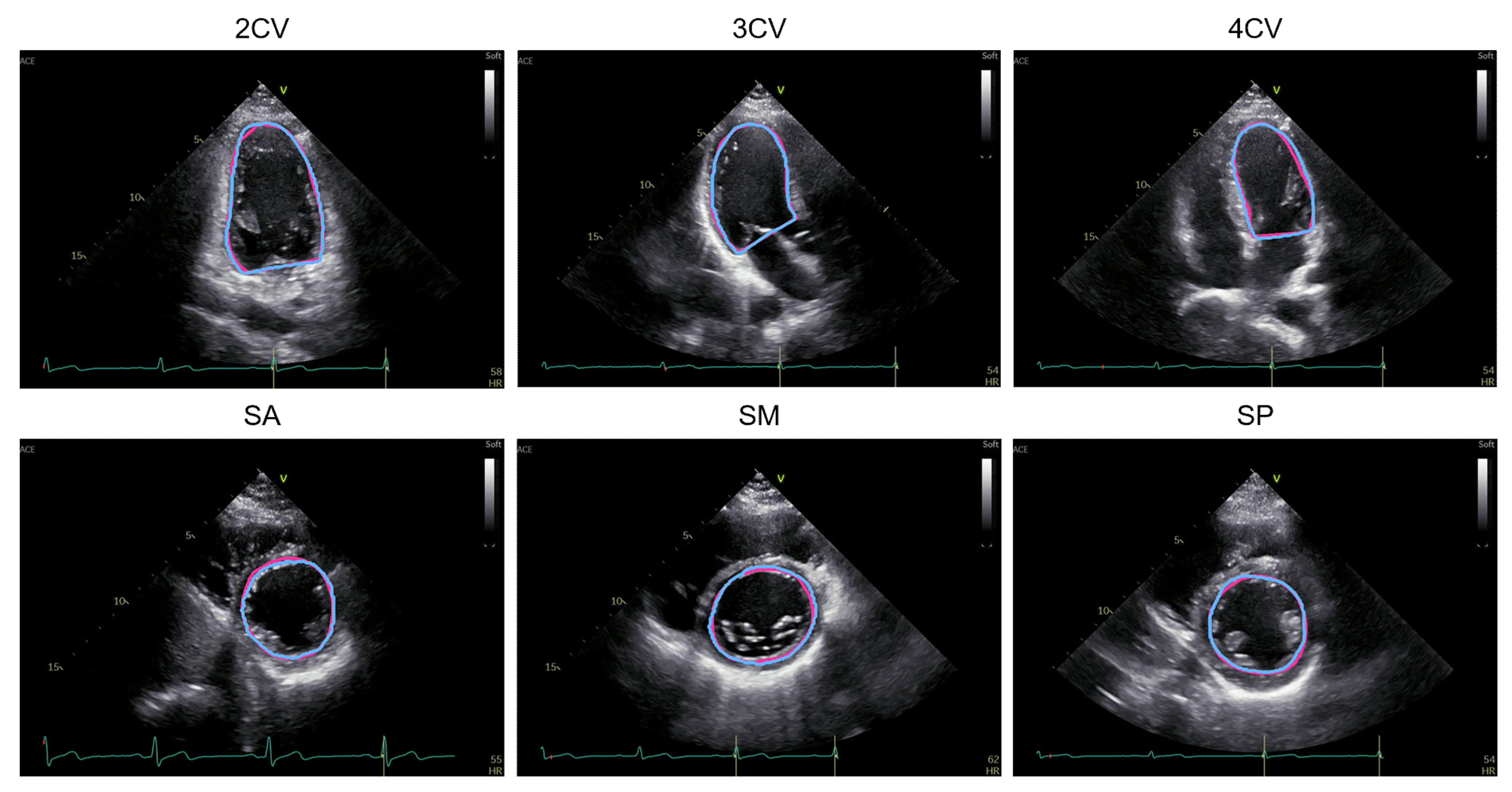 Biomedicines 10 01082 g003