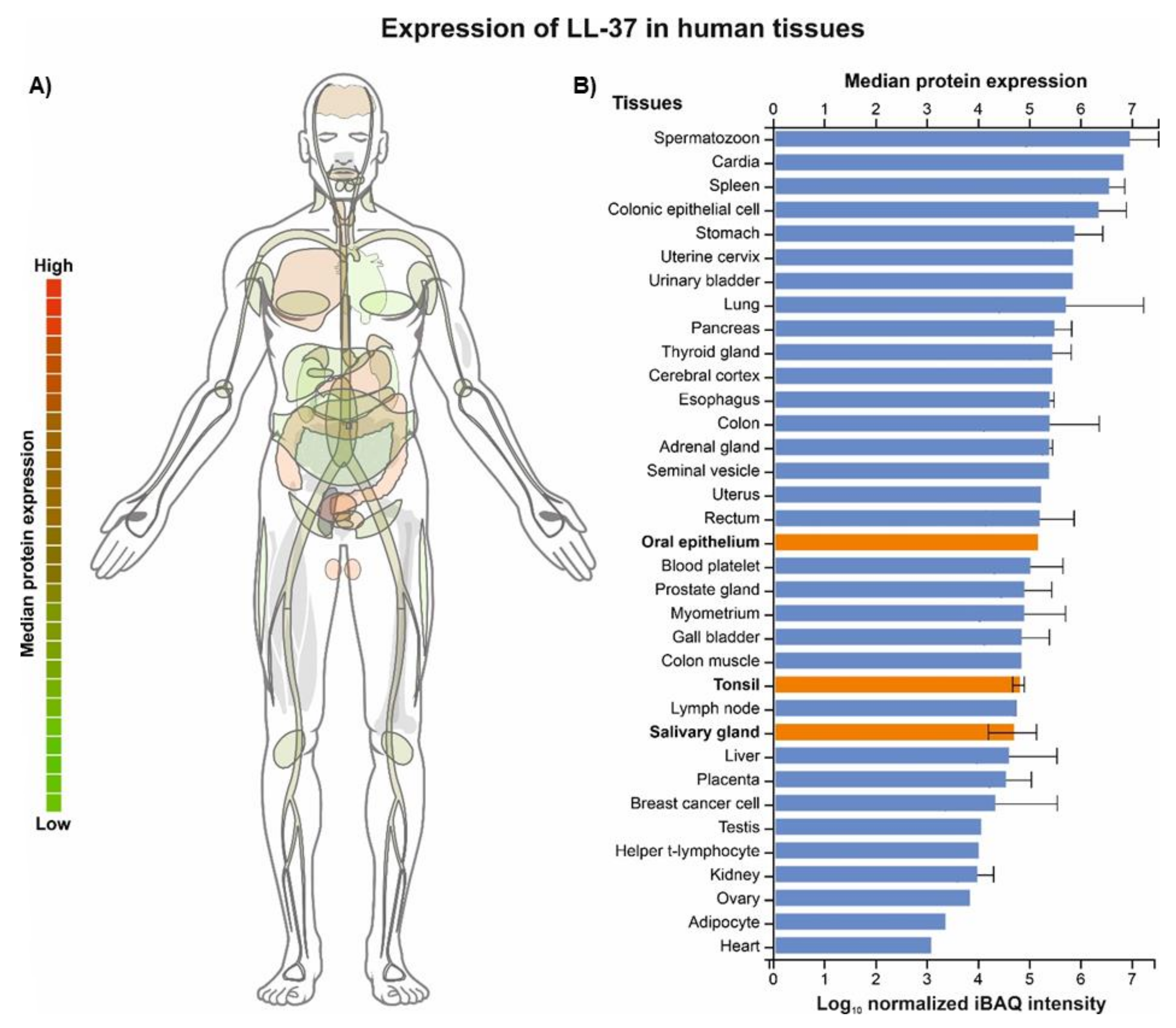Biomedicines 10 01086 g001 Biomedicines 10 01086 g001