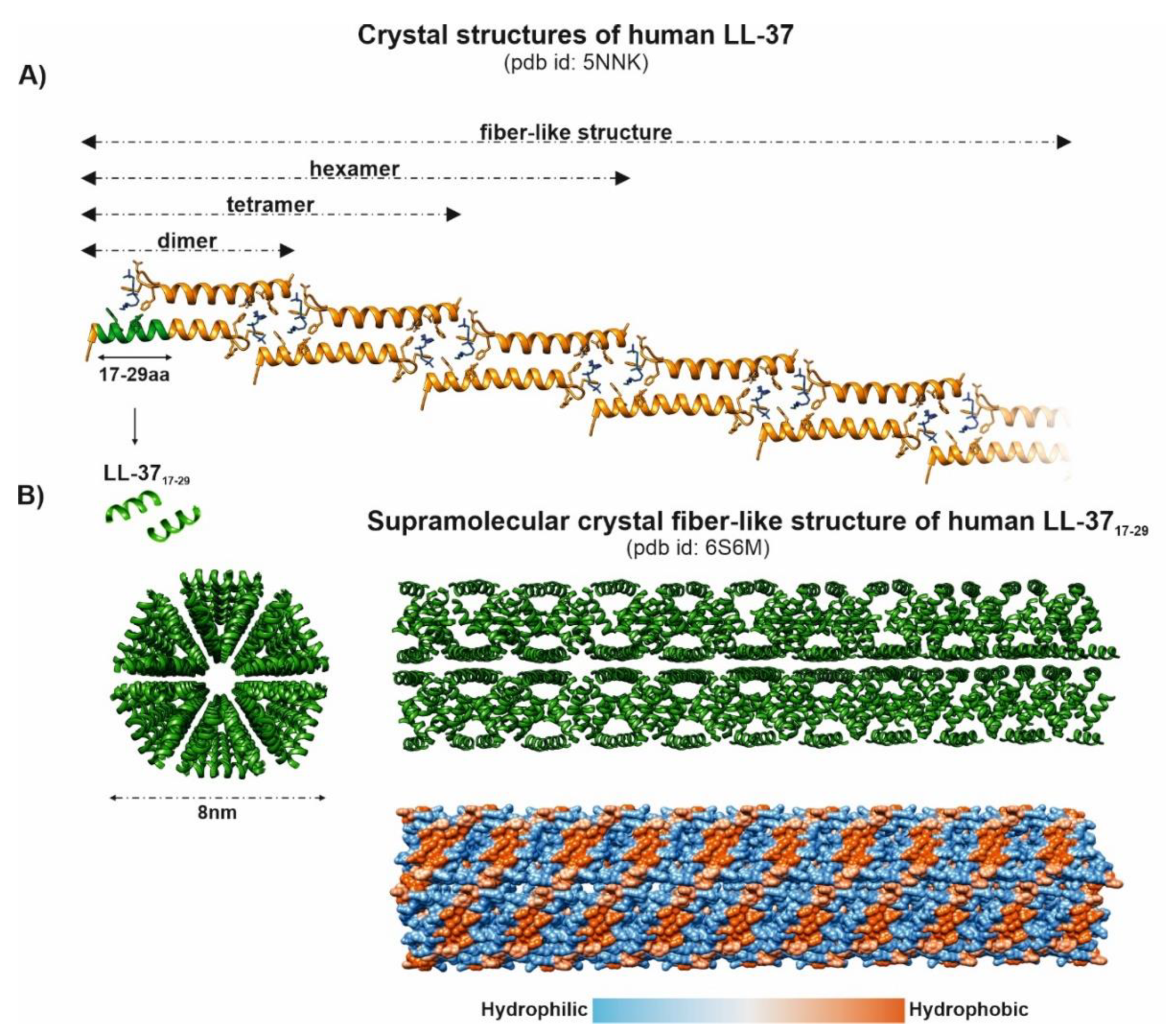Biomedicines 10 01086 g006 Biomedicines 10 01086 g006