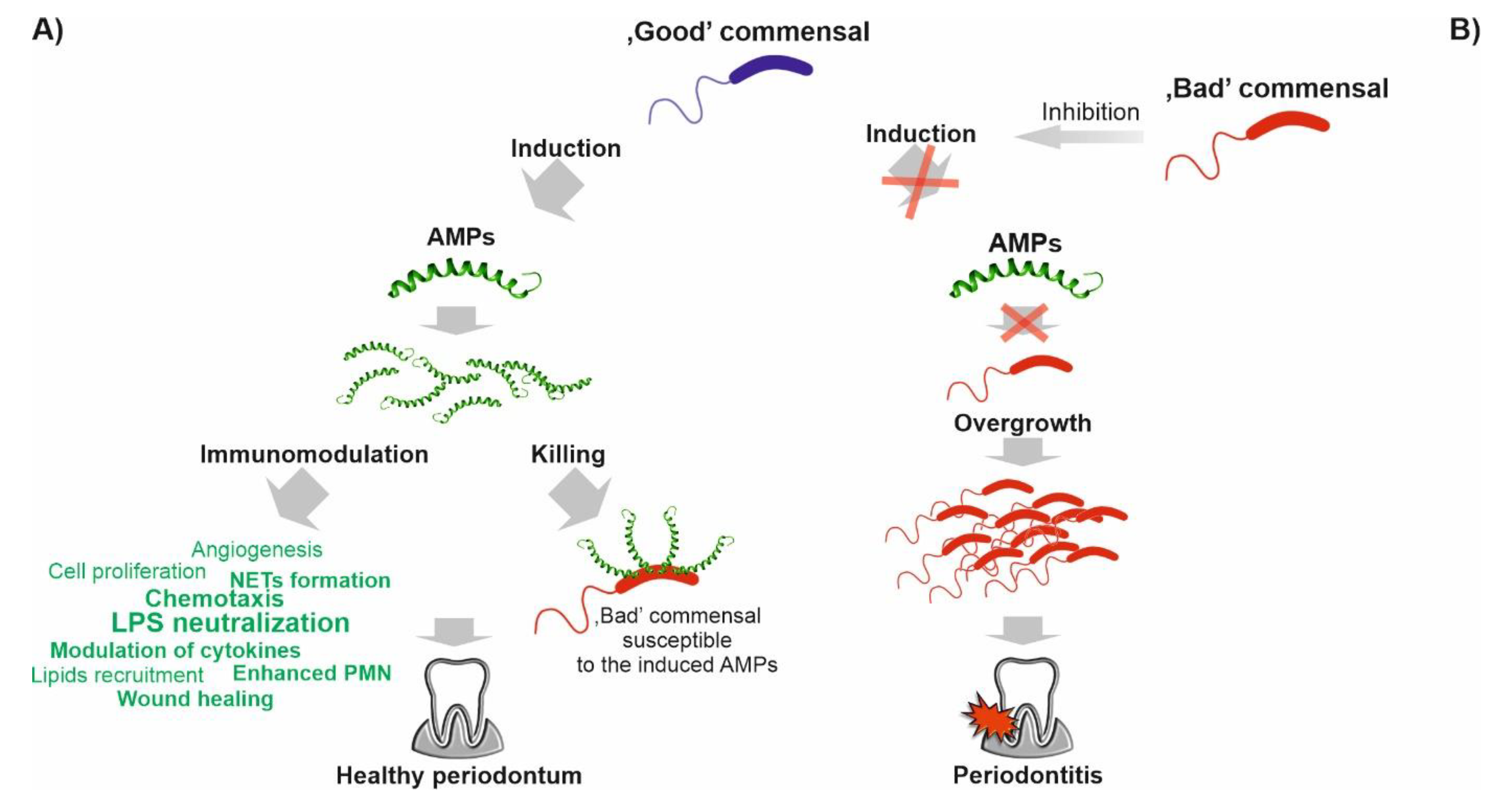 Biomedicines 10 01086 g008 Biomedicines 10 01086 g008
