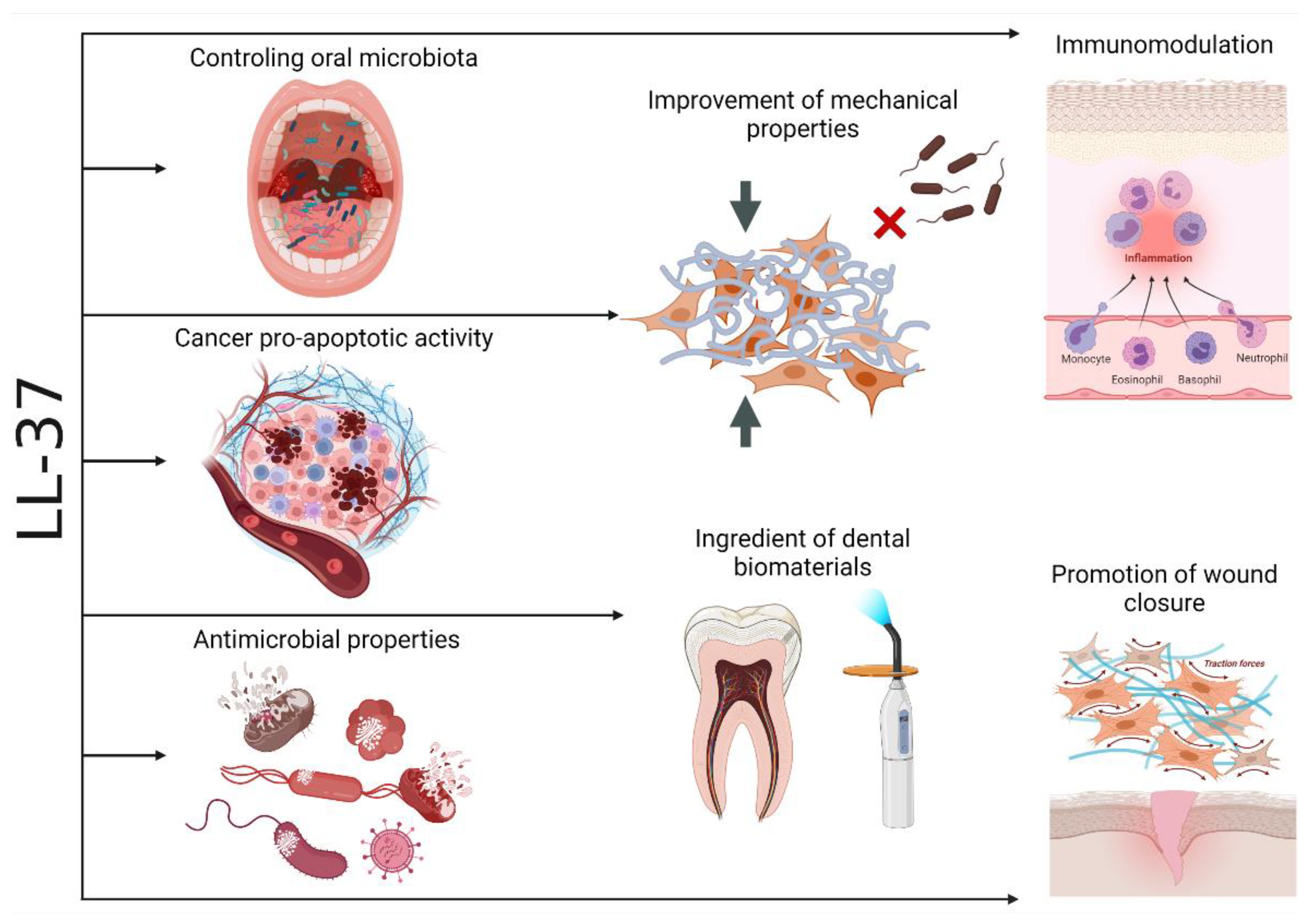 Biomedicines 10 01086 g012 Biomedicines 10 01086 g012