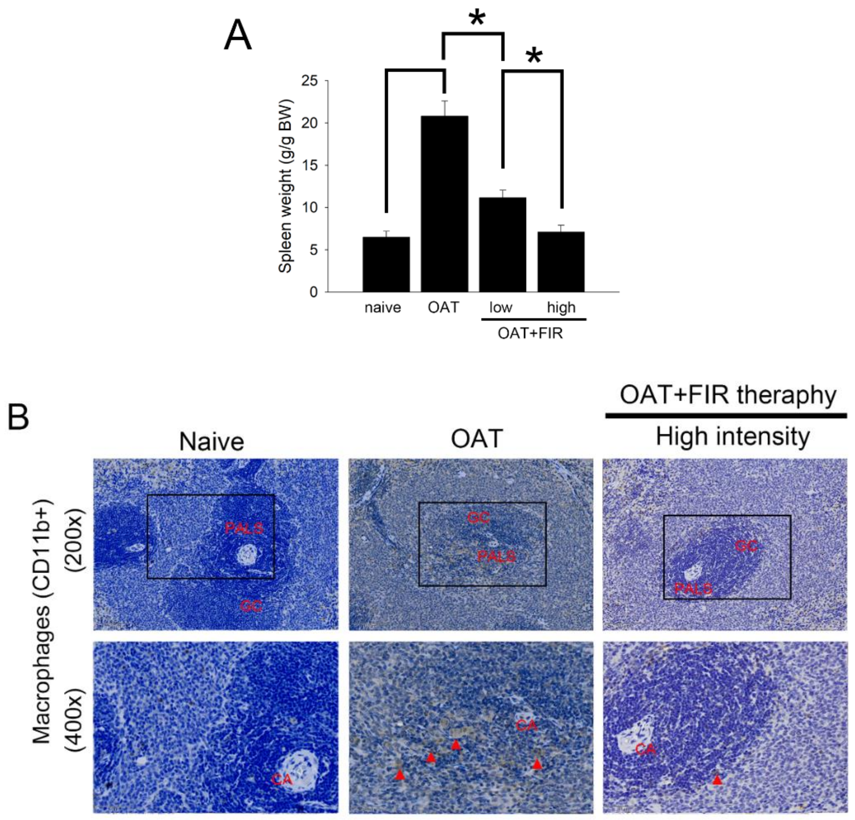 Biomedicines 10 01089 g003a Biomedicines 10 01089 g003a