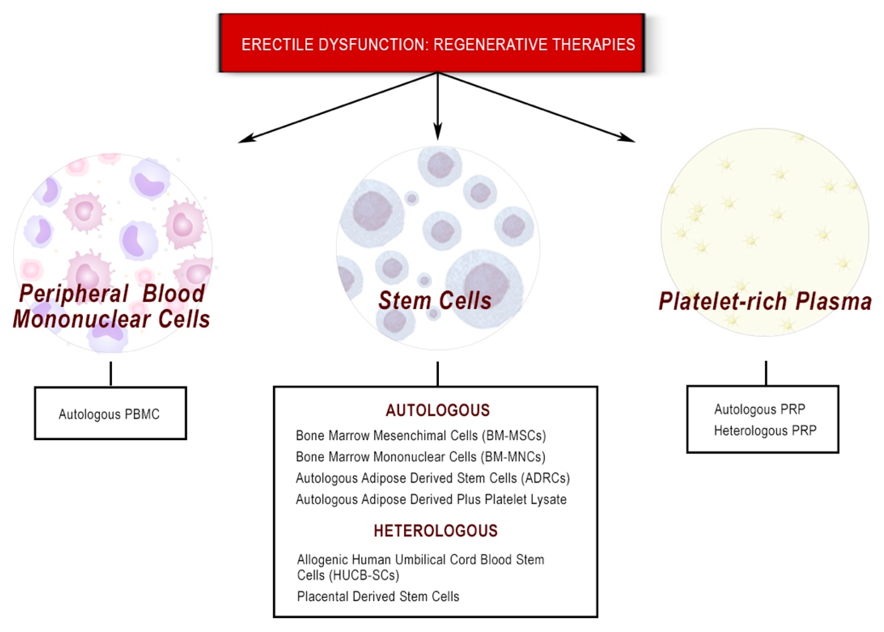 Biomedicines 10 01091 g002