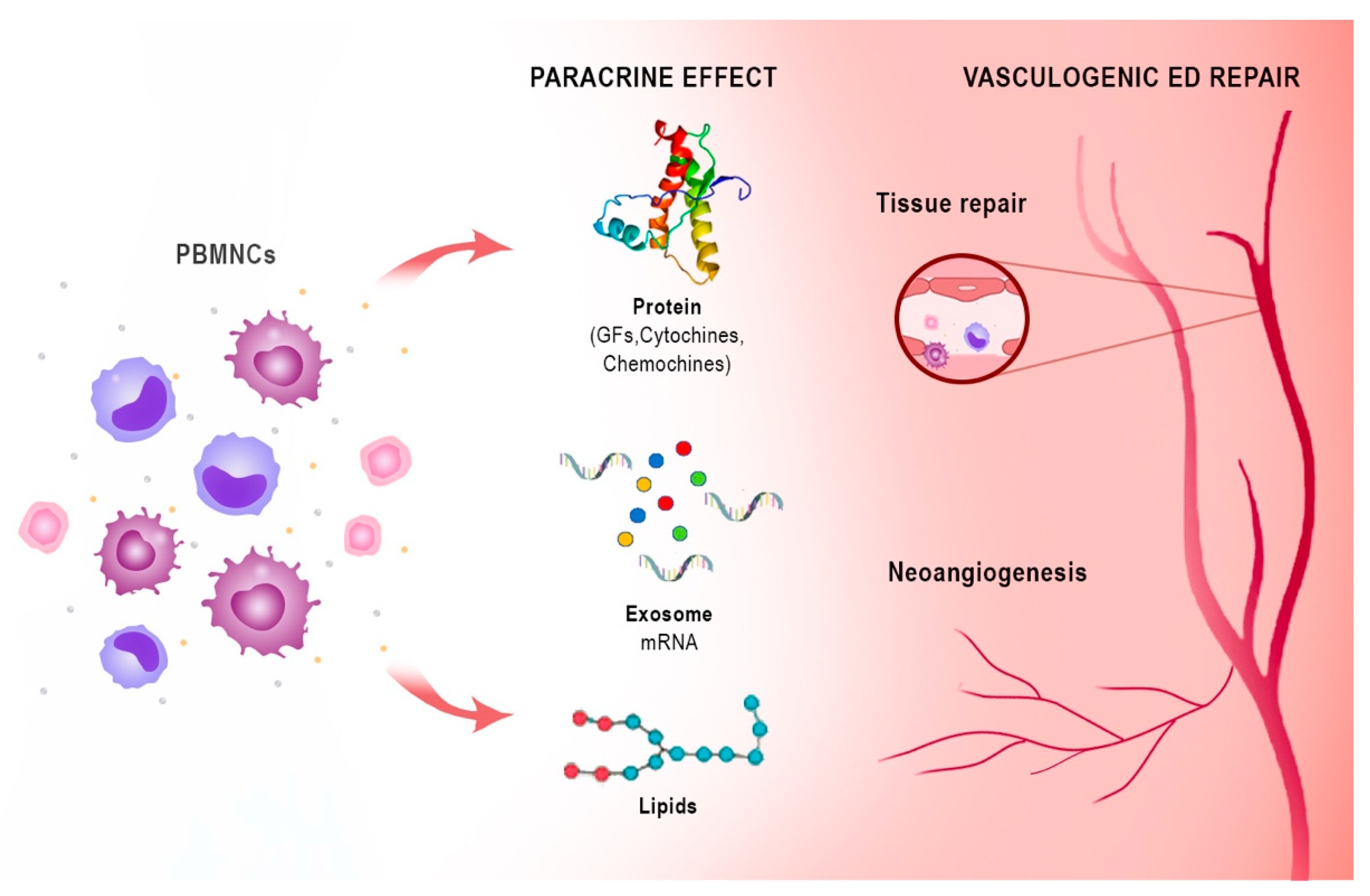 Biomedicines 10 01091 g003