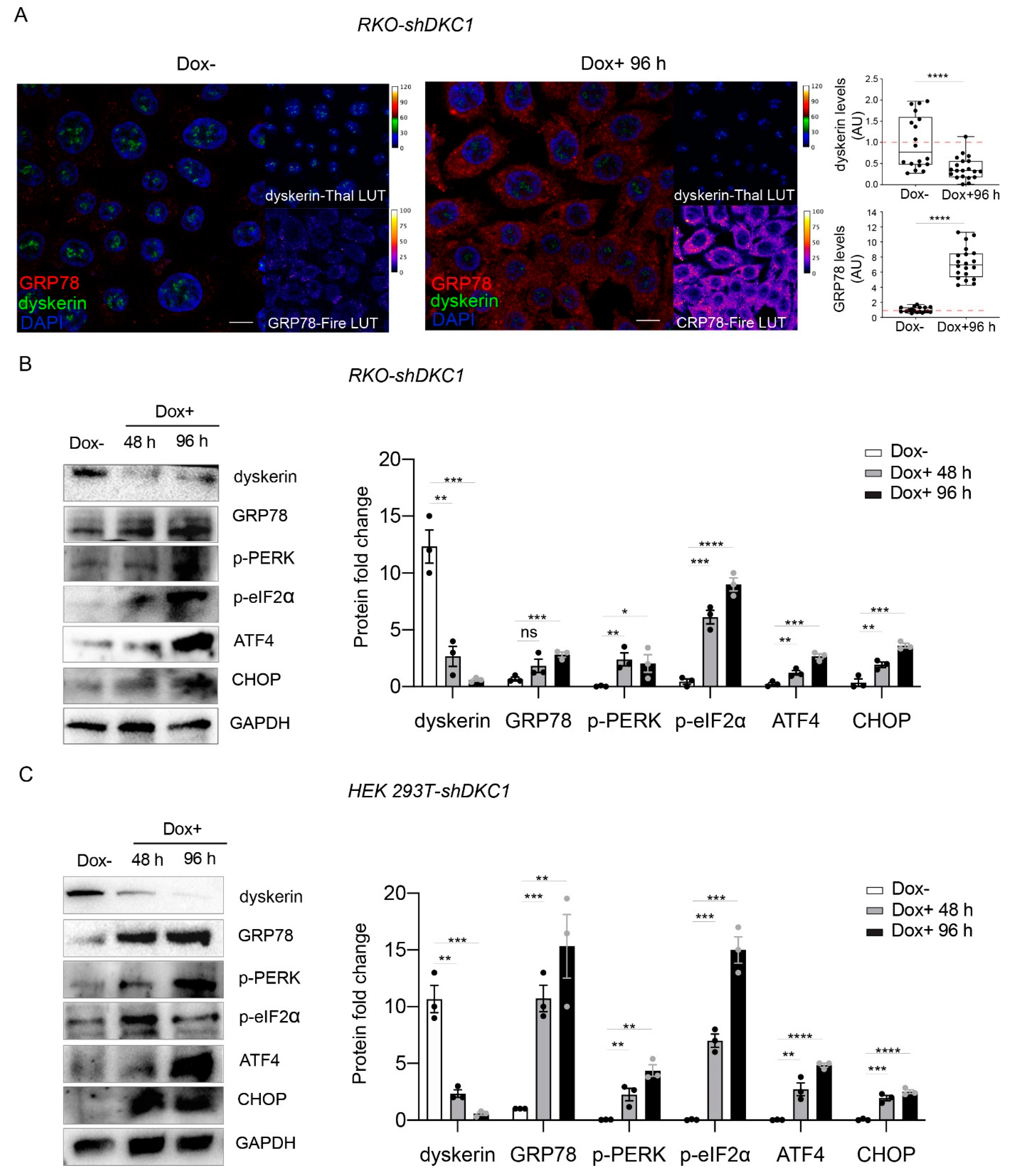 Biomedicines 10 01092 g002